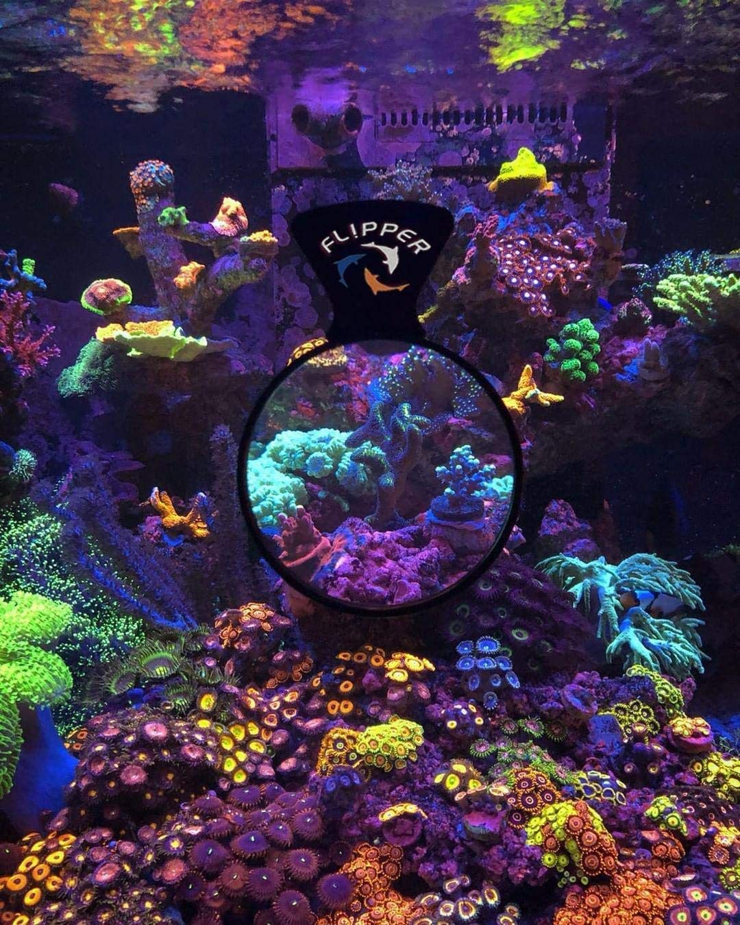 Your one-stop shop for diverse, top-quality aquarium supplies and accessories