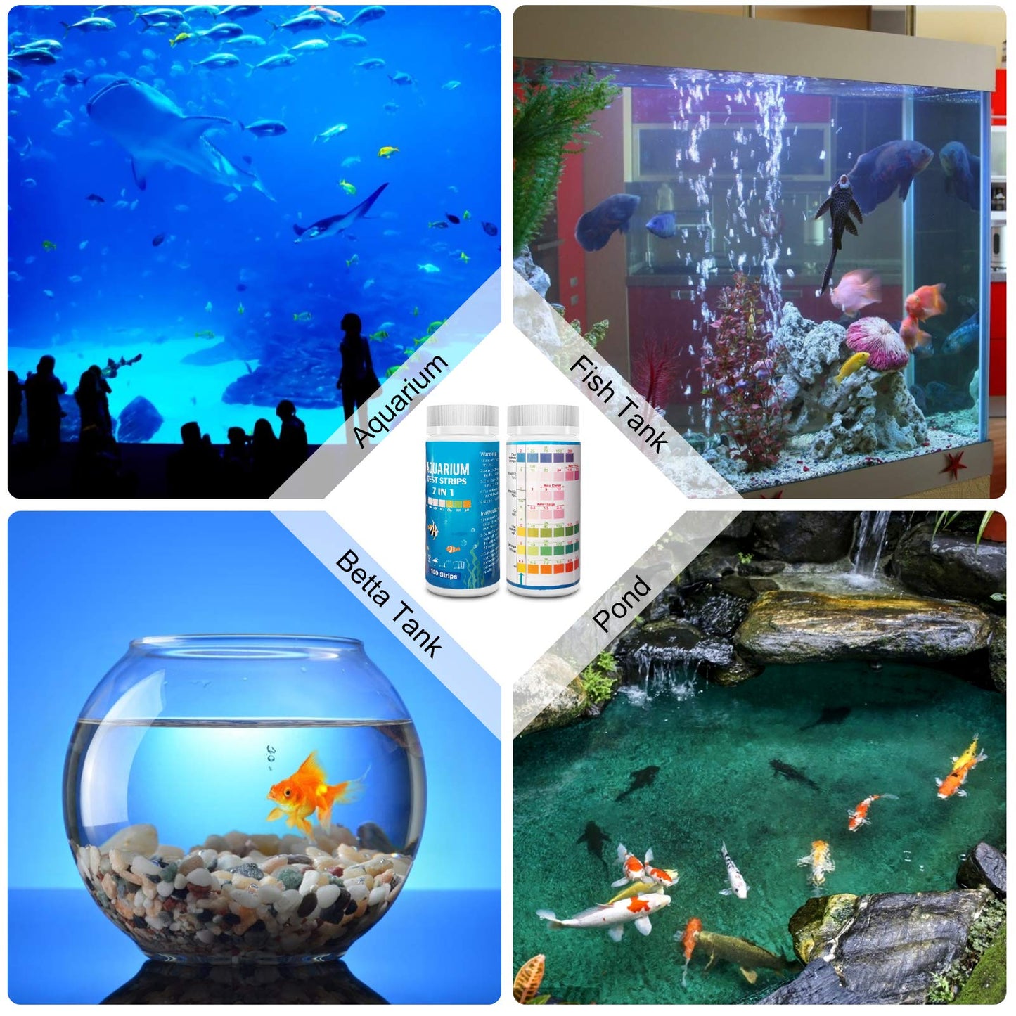 Your one-stop shop for diverse, top-quality aquarium supplies and accessories