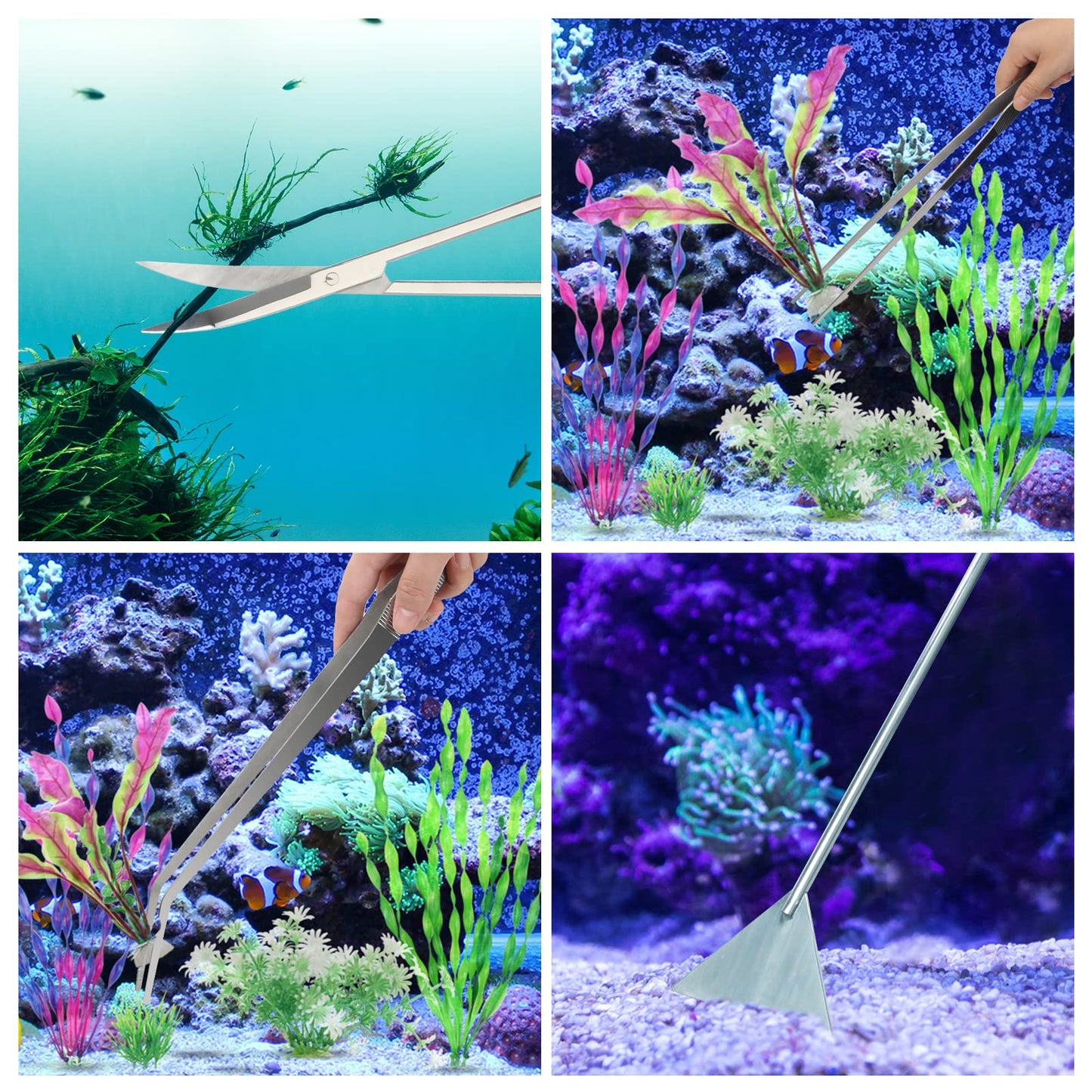 Your one-stop shop for diverse, top-quality aquarium supplies and accessories