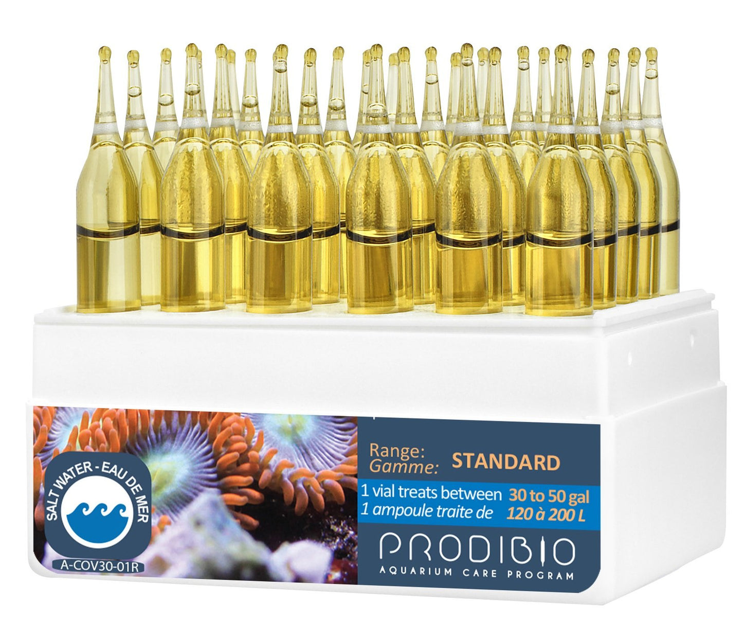 Your one-stop shop for diverse, top-quality aquarium supplies and accessories