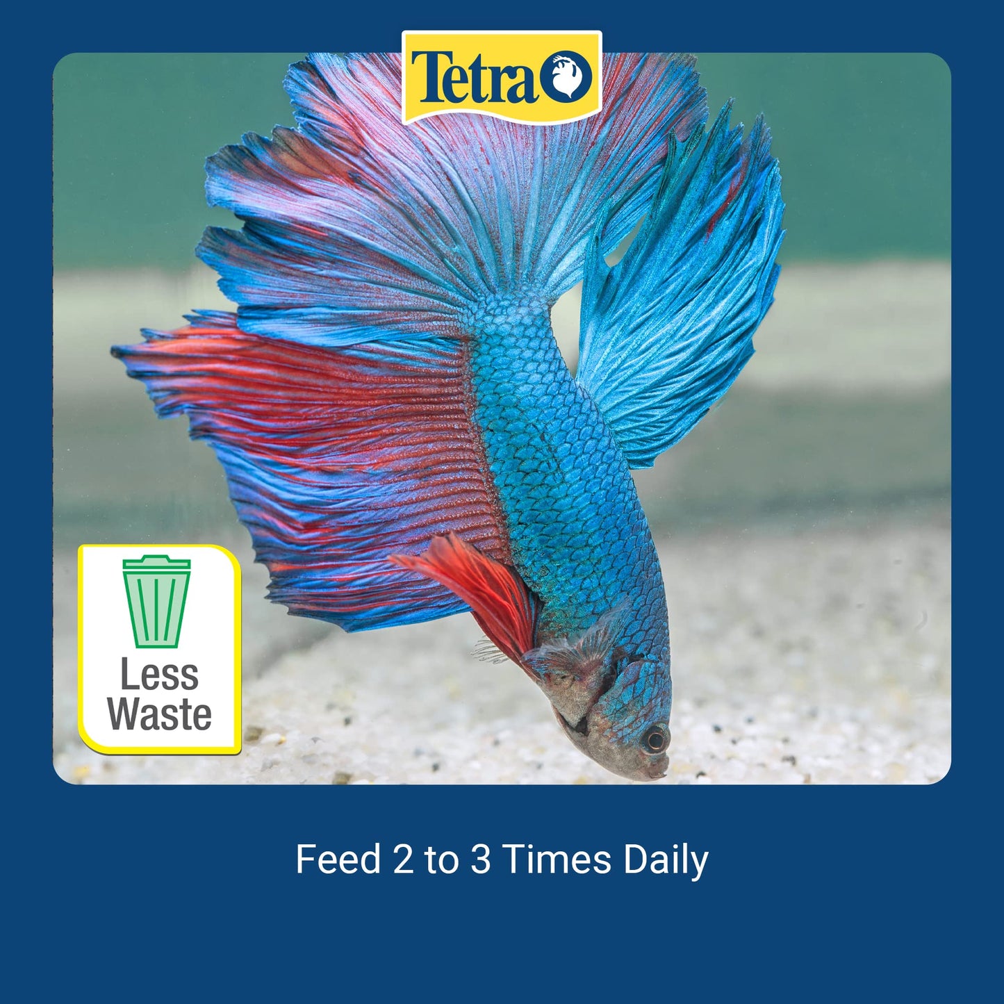 Your one-stop shop for diverse, top-quality aquarium supplies and accessories