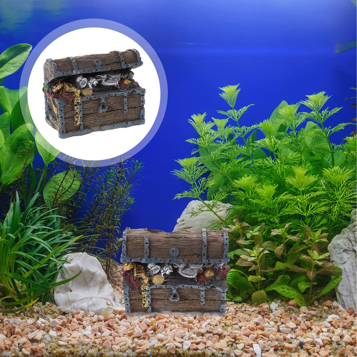 Your one-stop shop for diverse, top-quality aquarium supplies and accessories