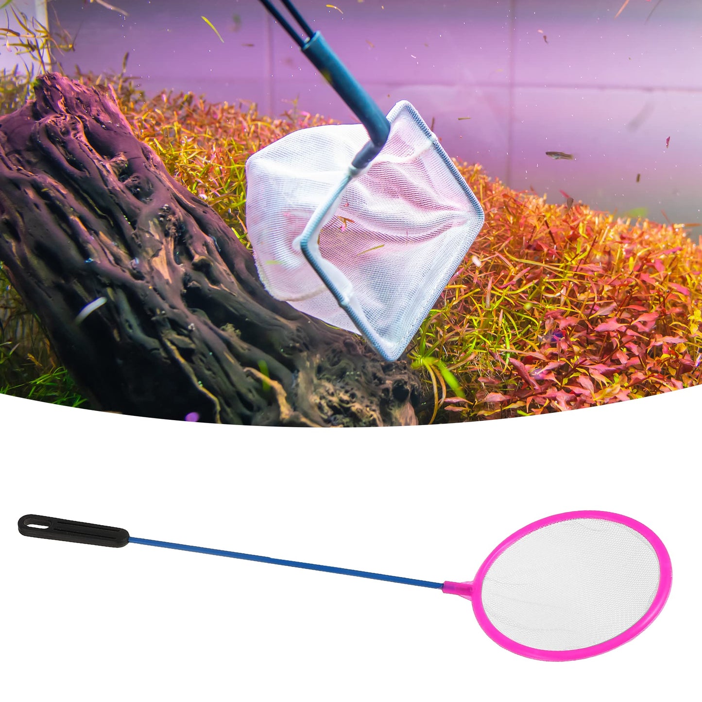 Your one-stop shop for diverse, top-quality aquarium supplies and accessories