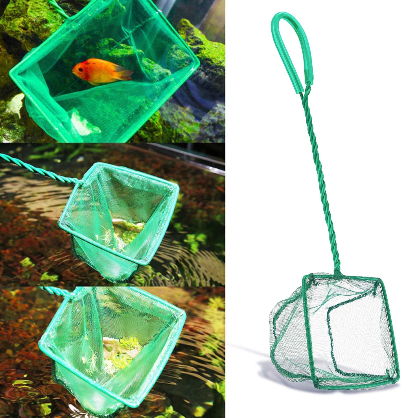 Your one-stop shop for diverse, top-quality aquarium supplies and accessories
