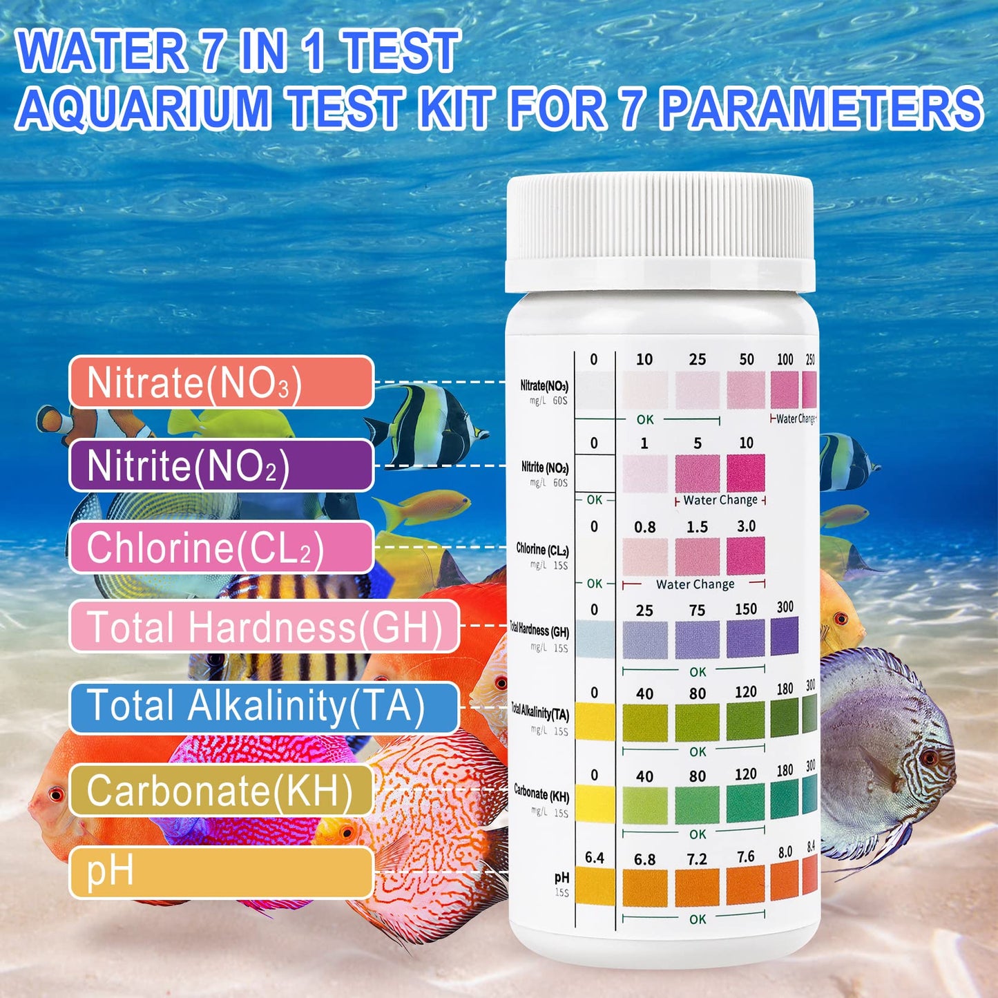 Your one-stop shop for diverse, top-quality aquarium supplies and accessories