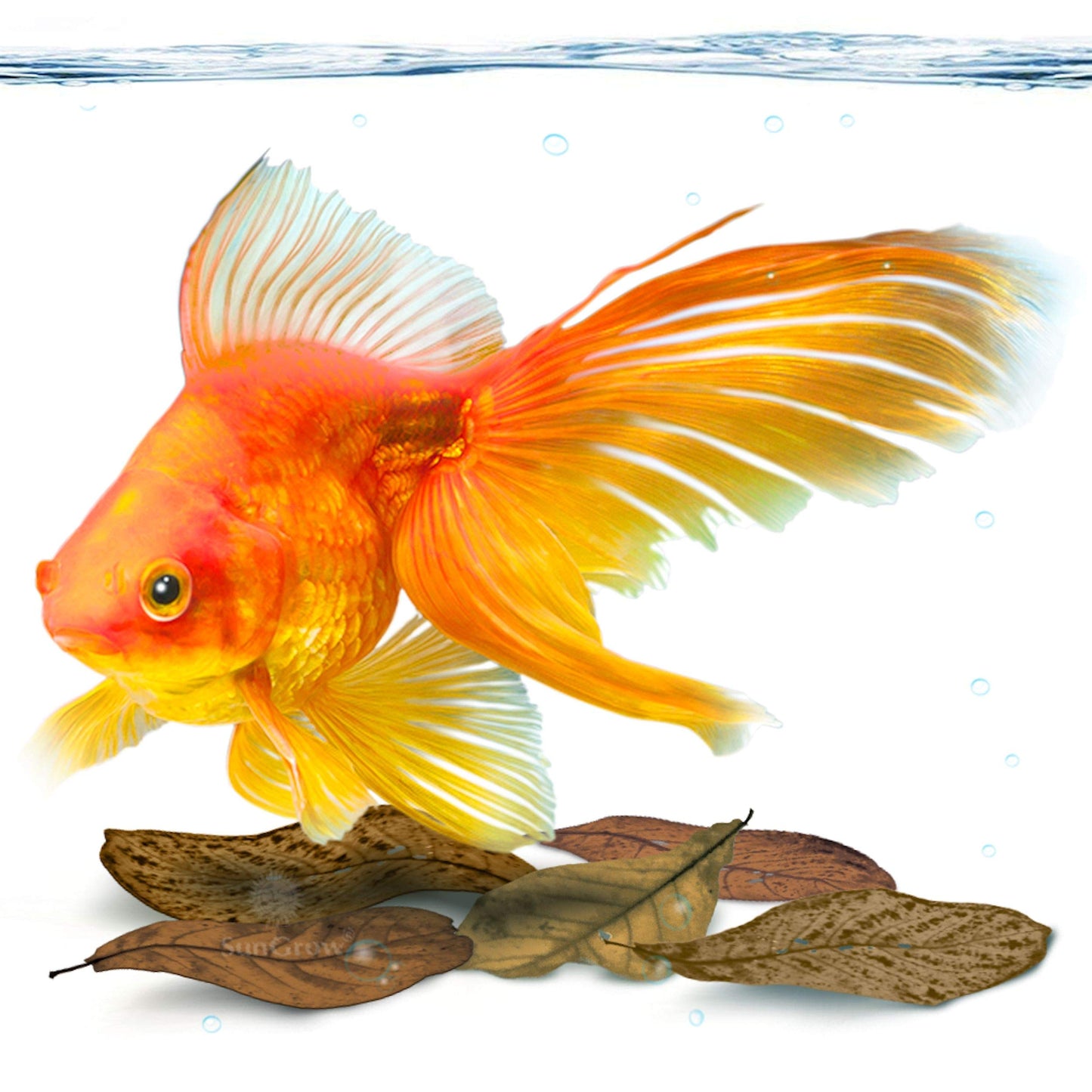 Your one-stop shop for diverse, top-quality aquarium supplies and accessories