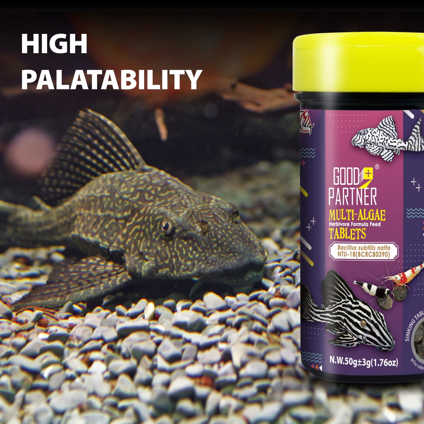 Your one-stop shop for diverse, top-quality aquarium supplies and accessories