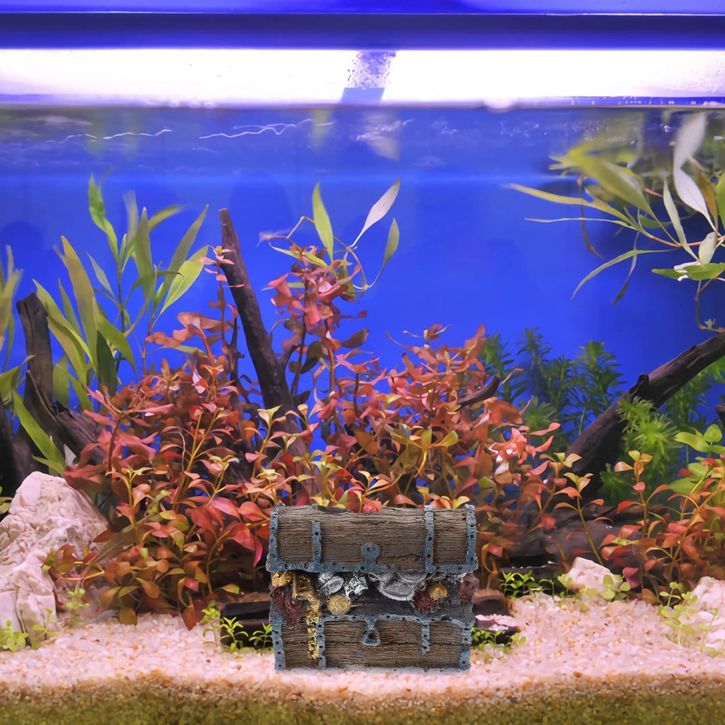 Your one-stop shop for diverse, top-quality aquarium supplies and accessories
