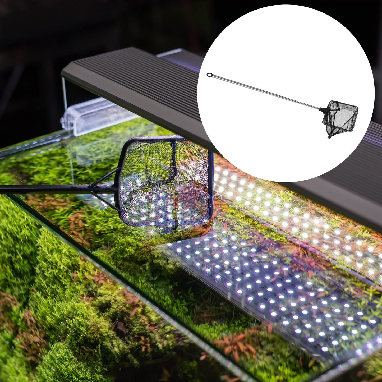 Your one-stop shop for diverse, top-quality aquarium supplies and accessories