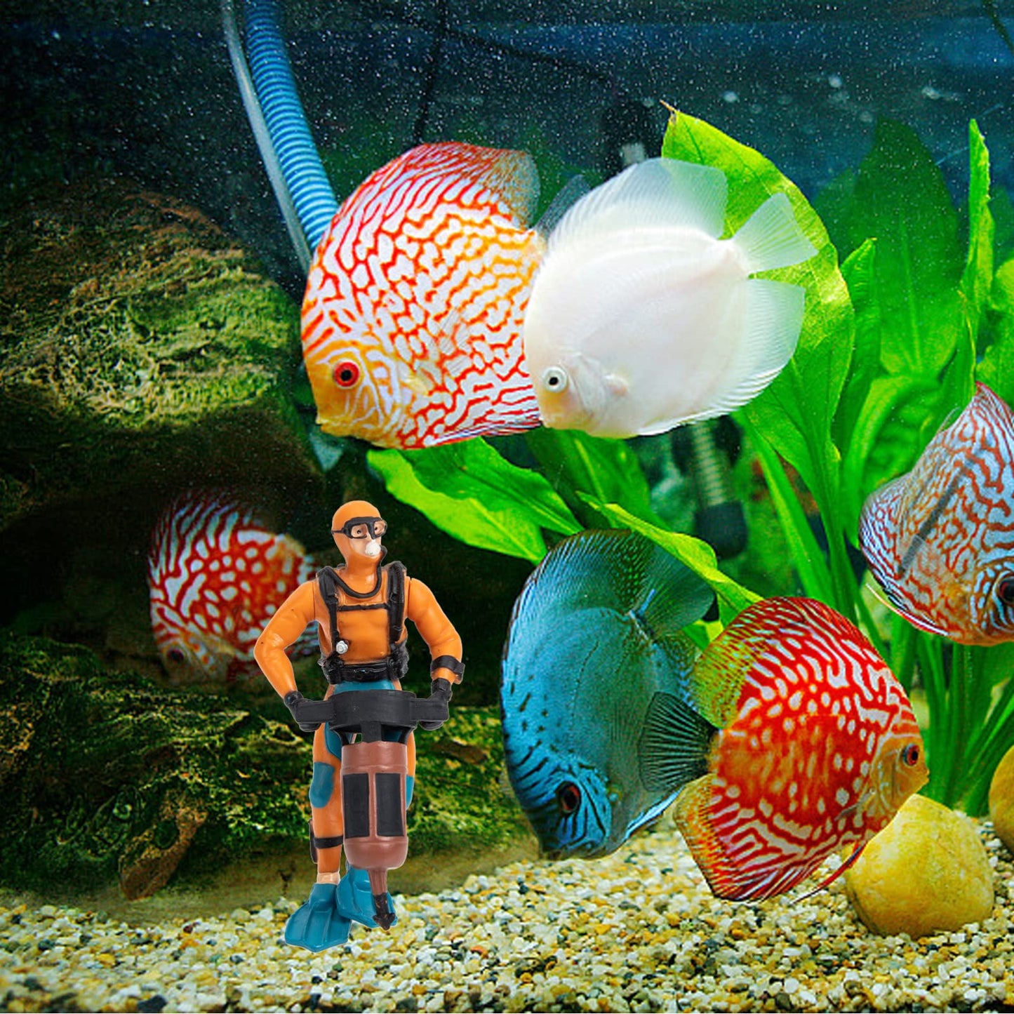 Your one-stop shop for diverse, top-quality aquarium supplies and accessories