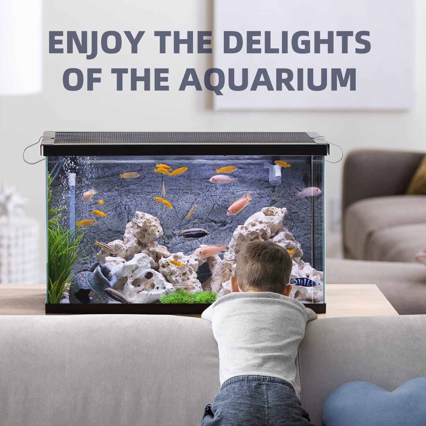 Your one-stop shop for diverse, top-quality aquarium supplies and accessories