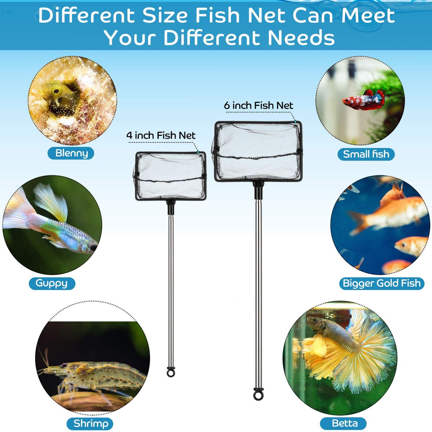 Your one-stop shop for diverse, top-quality aquarium supplies and accessories