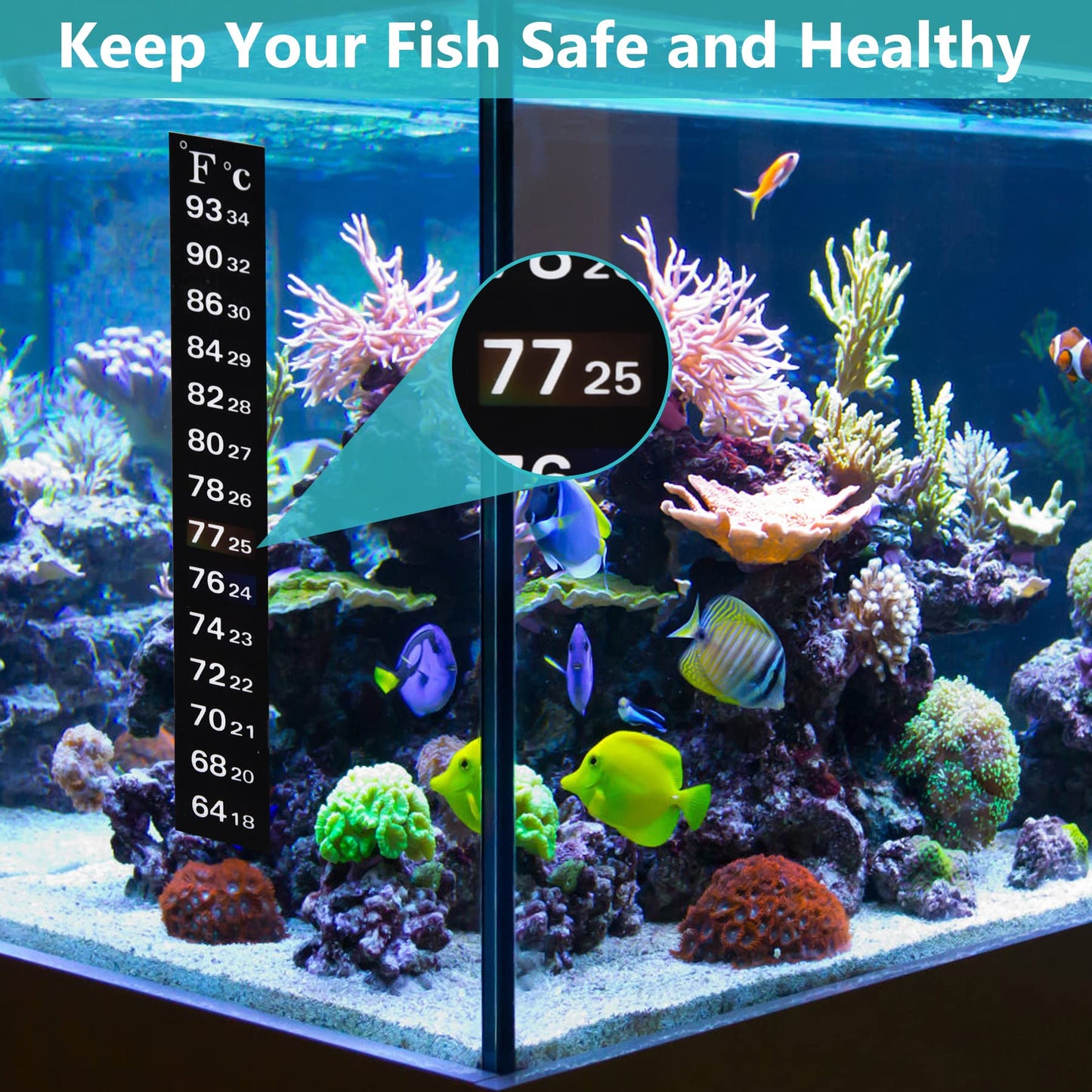 Your one-stop shop for diverse, top-quality aquarium supplies and accessories