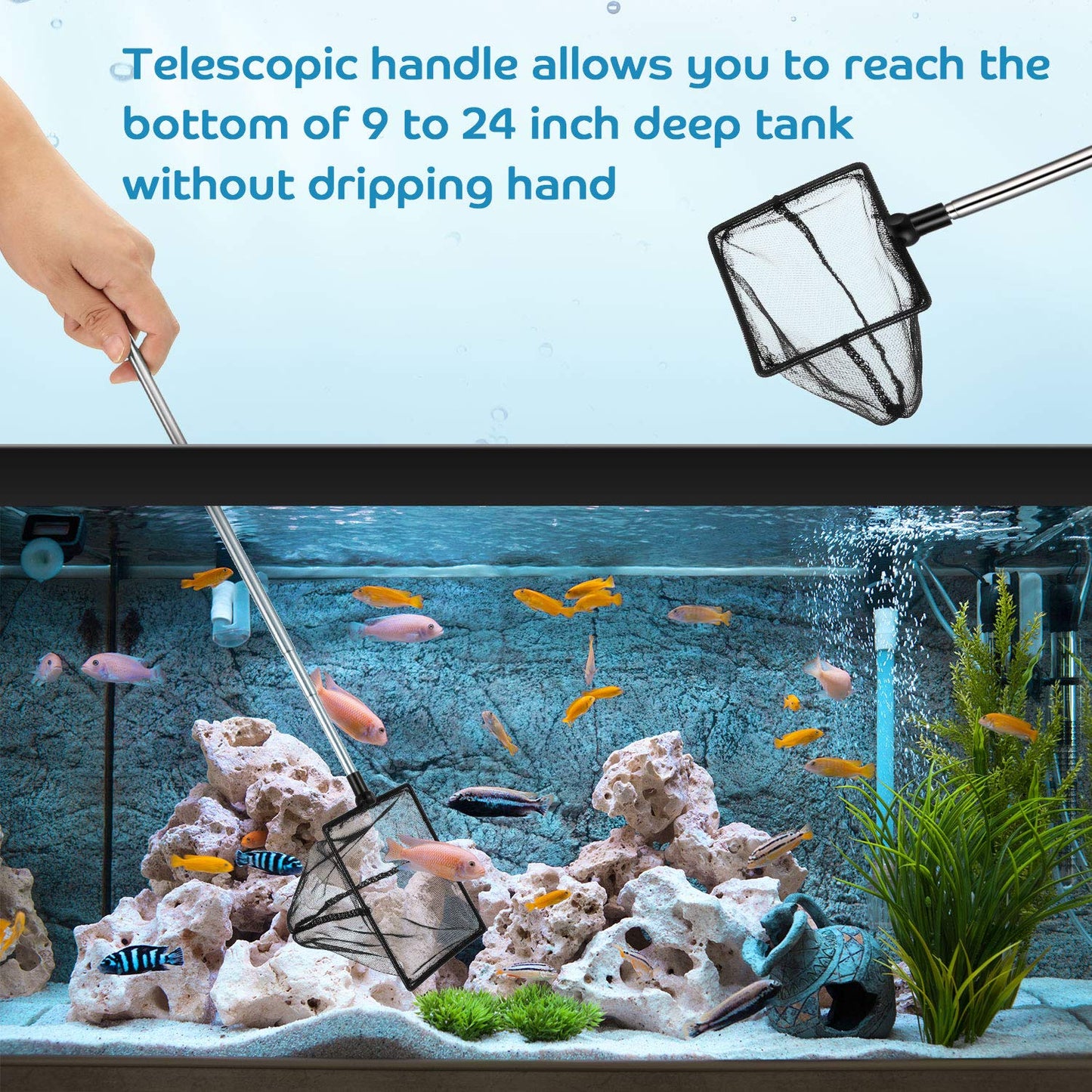 Your one-stop shop for diverse, top-quality aquarium supplies and accessories