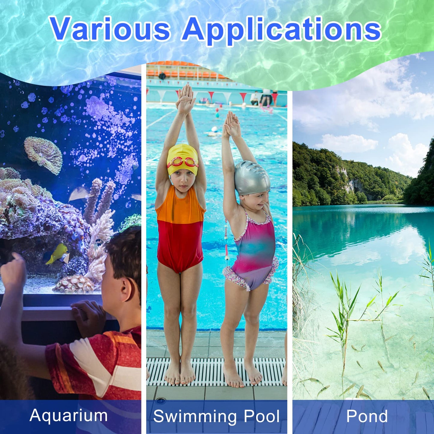 Your one-stop shop for diverse, top-quality aquarium supplies and accessories