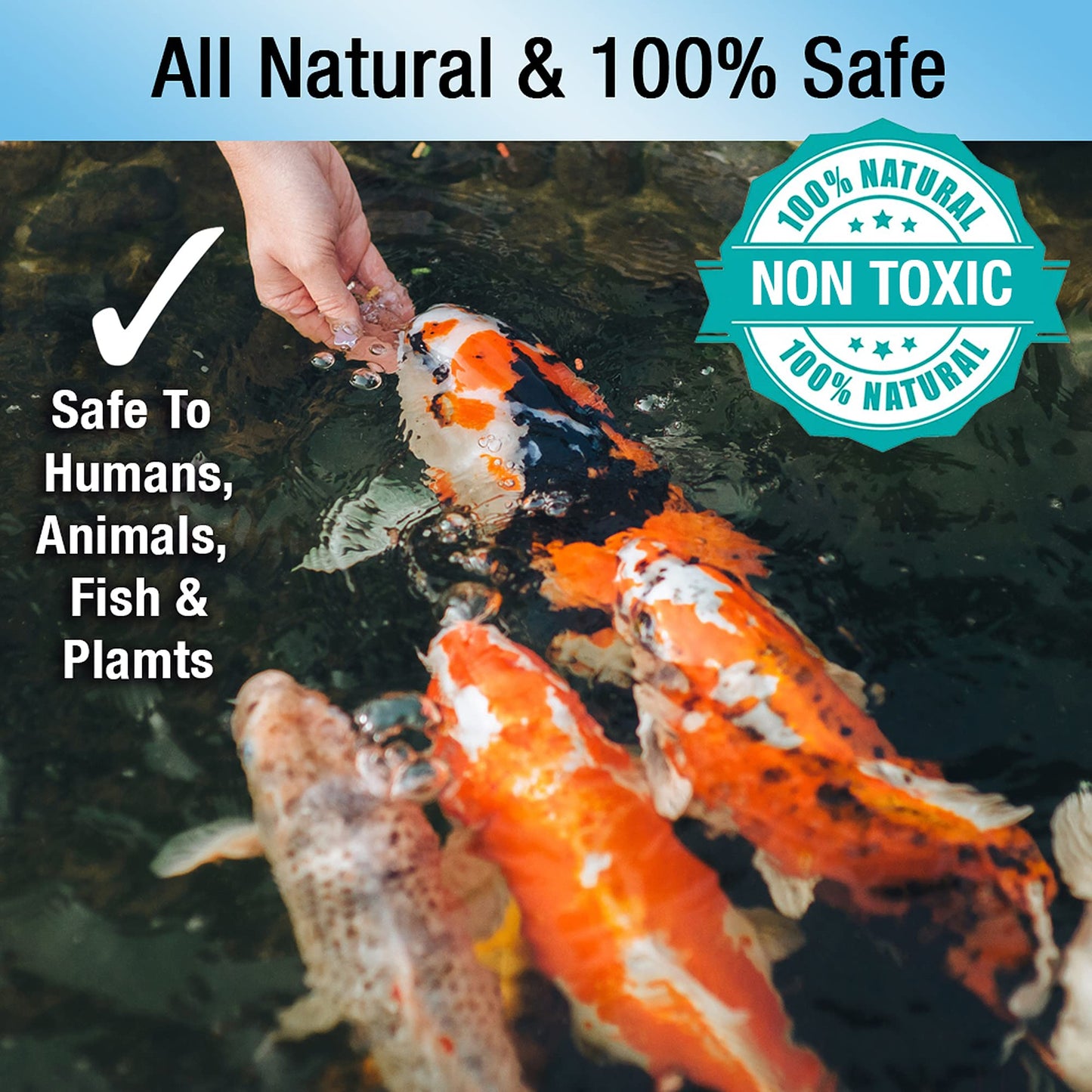Your one-stop shop for diverse, top-quality aquarium supplies and accessories