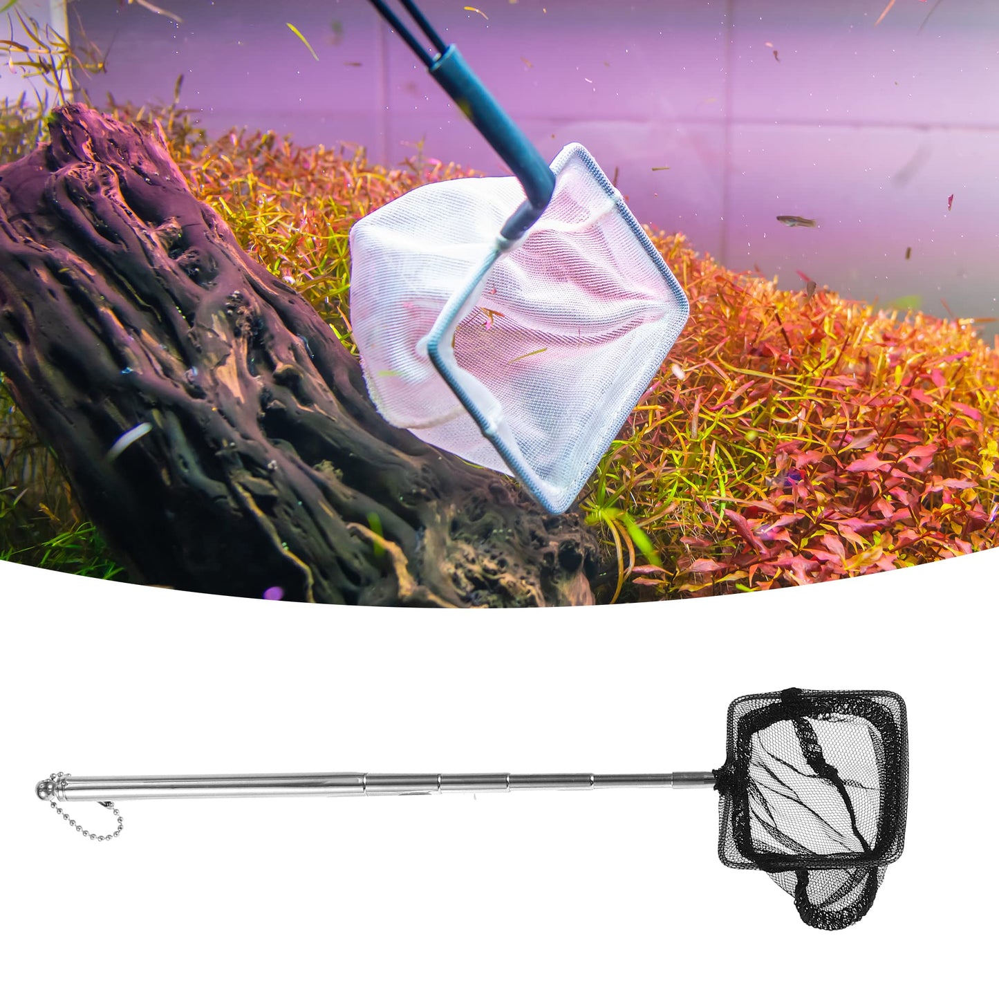 Your one-stop shop for diverse, top-quality aquarium supplies and accessories