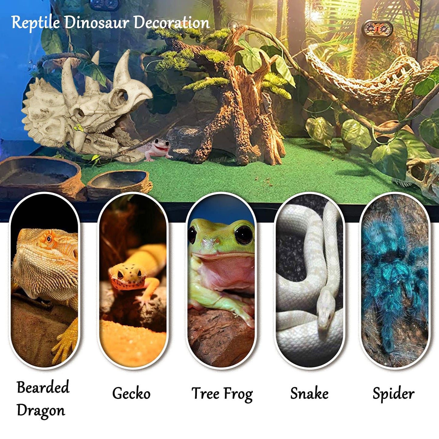Your one-stop shop for diverse, top-quality aquarium supplies and accessories