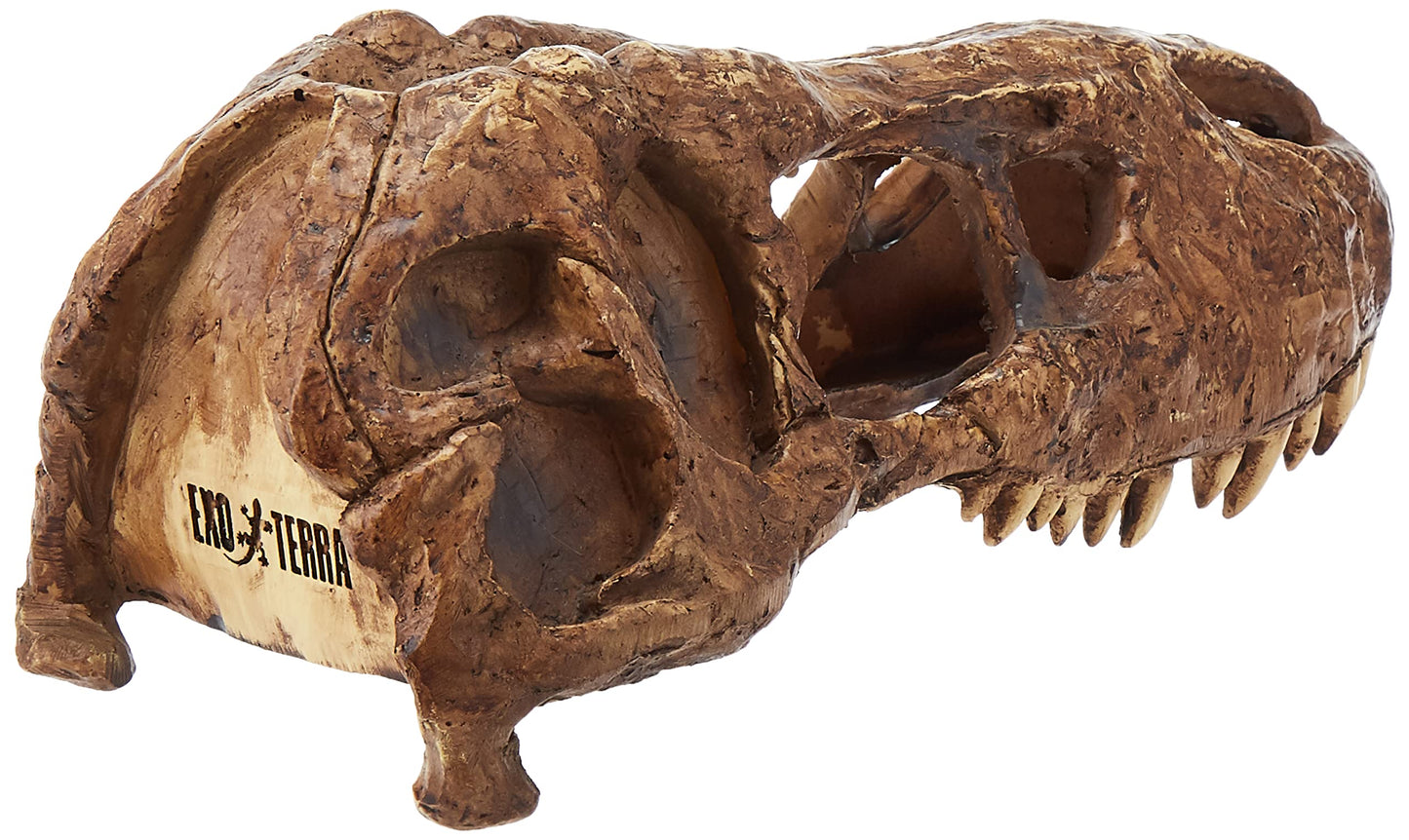 Your one-stop shop for diverse, top-quality aquarium supplies and accessories