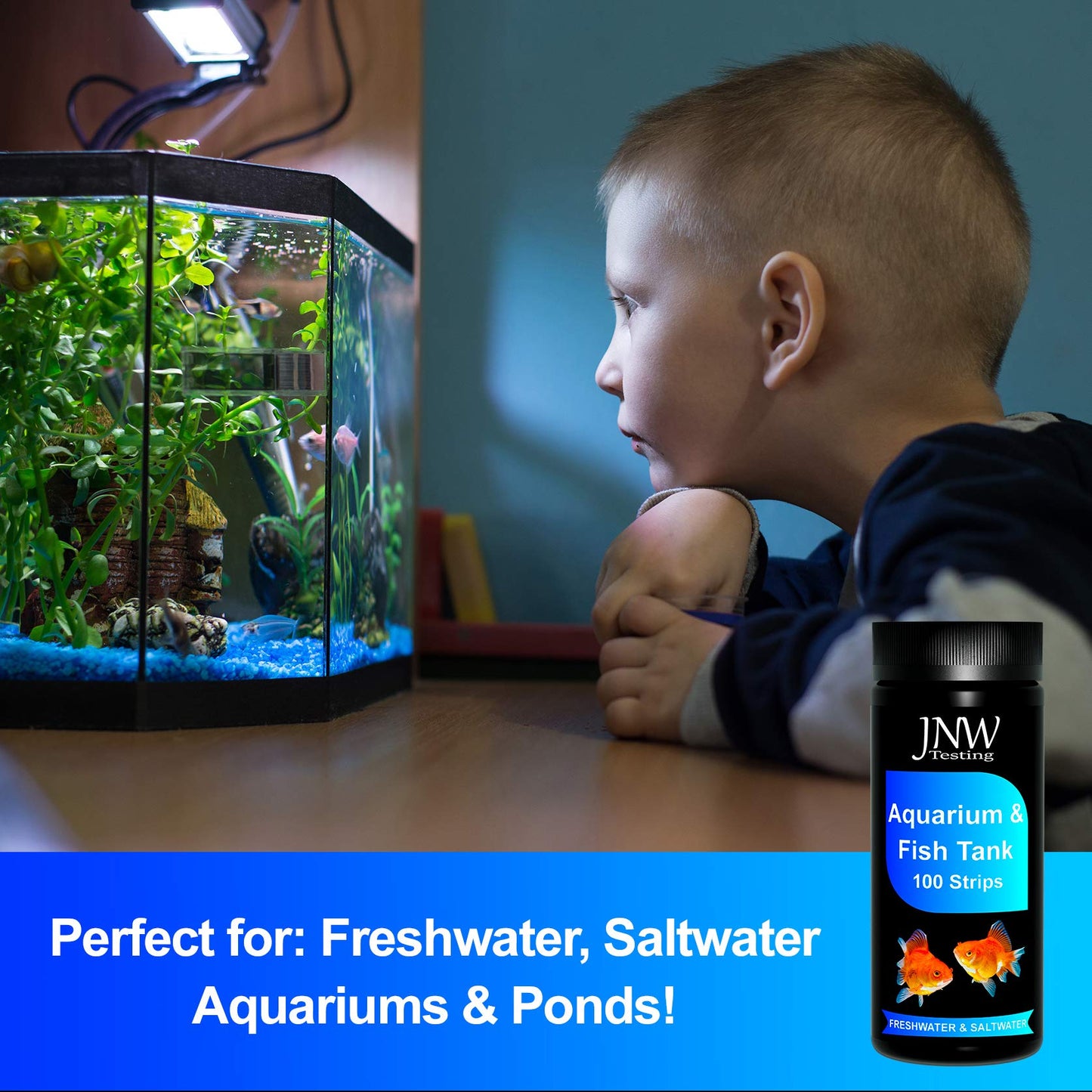 Your one-stop shop for diverse, top-quality aquarium supplies and accessories