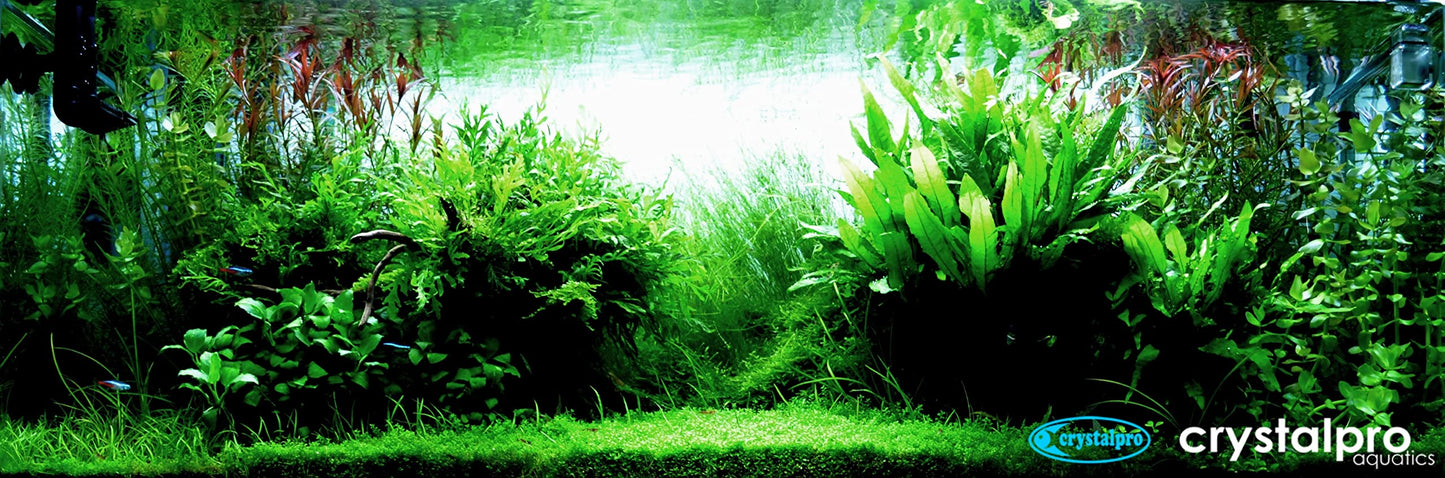 Your one-stop shop for diverse, top-quality aquarium supplies and accessories