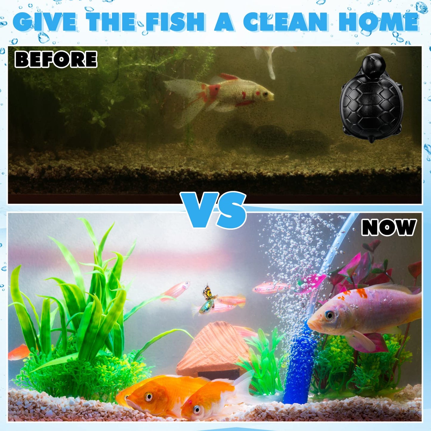 Your one-stop shop for diverse, top-quality aquarium supplies and accessories