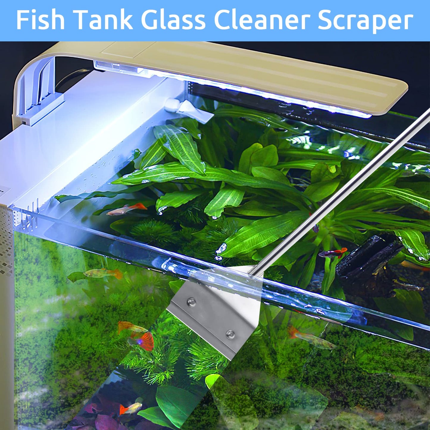 Your one-stop shop for diverse, top-quality aquarium supplies and accessories