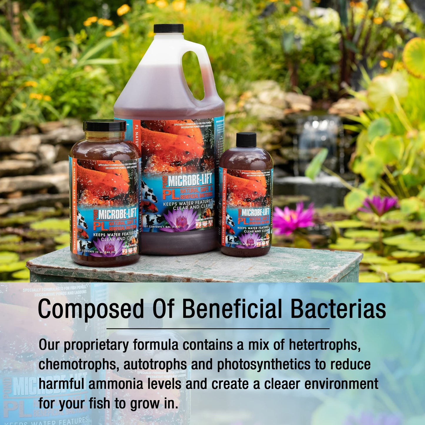 Your one-stop shop for diverse, top-quality aquarium supplies and accessories