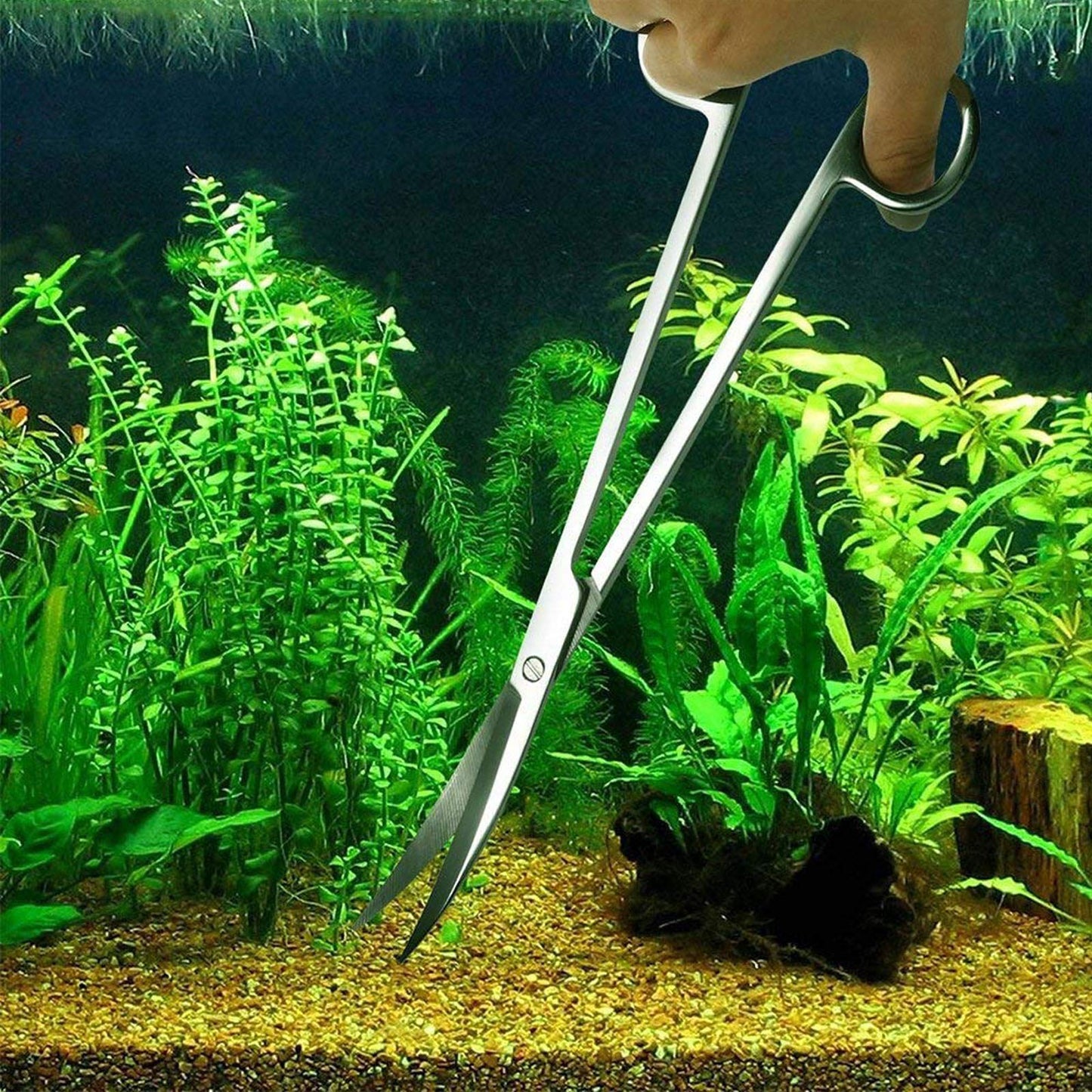 Your one-stop shop for diverse, top-quality aquarium supplies and accessories