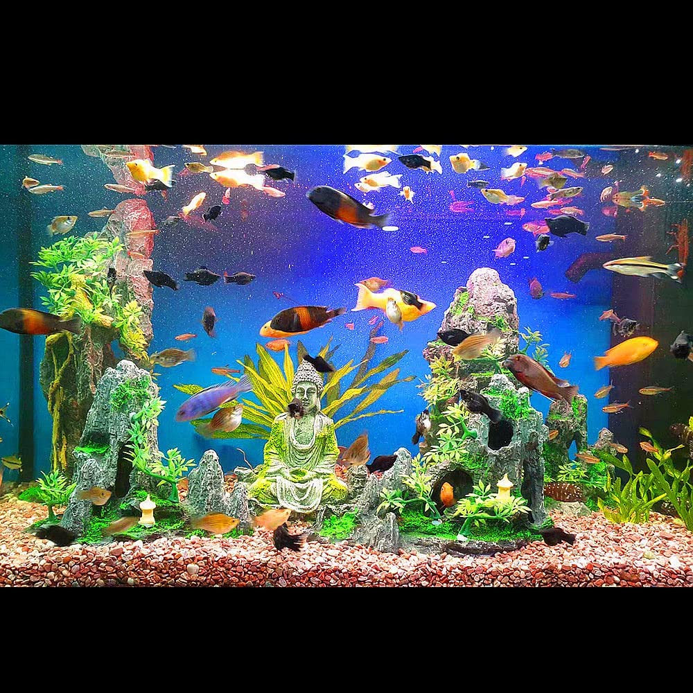 Your one-stop shop for diverse, top-quality aquarium supplies and accessories