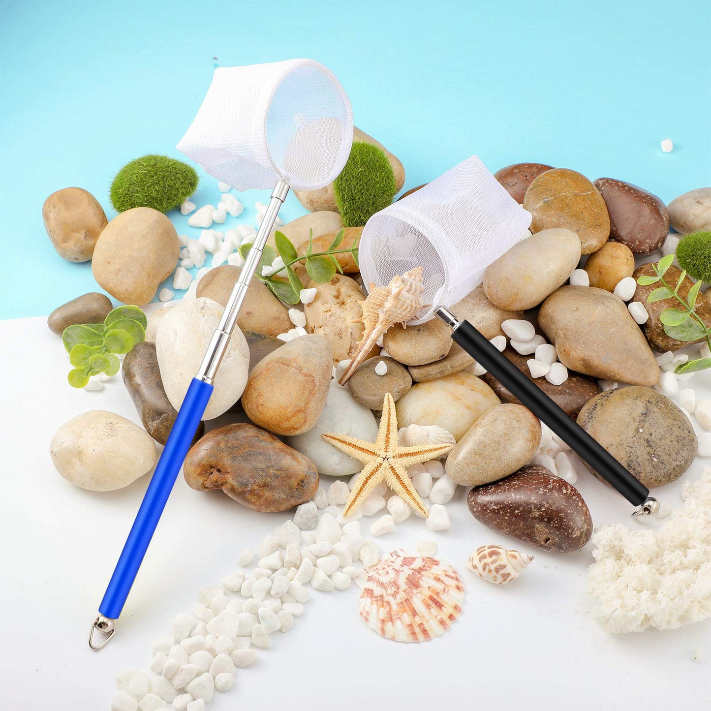 Your one-stop shop for diverse, top-quality aquarium supplies and accessories