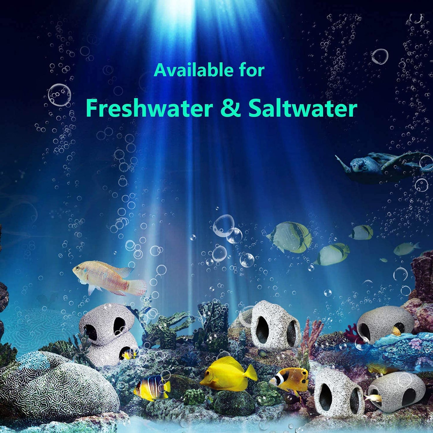 Your one-stop shop for diverse, top-quality aquarium supplies and accessories