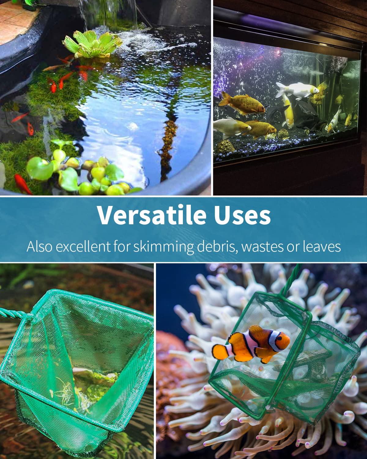 Your one-stop shop for diverse, top-quality aquarium supplies and accessories