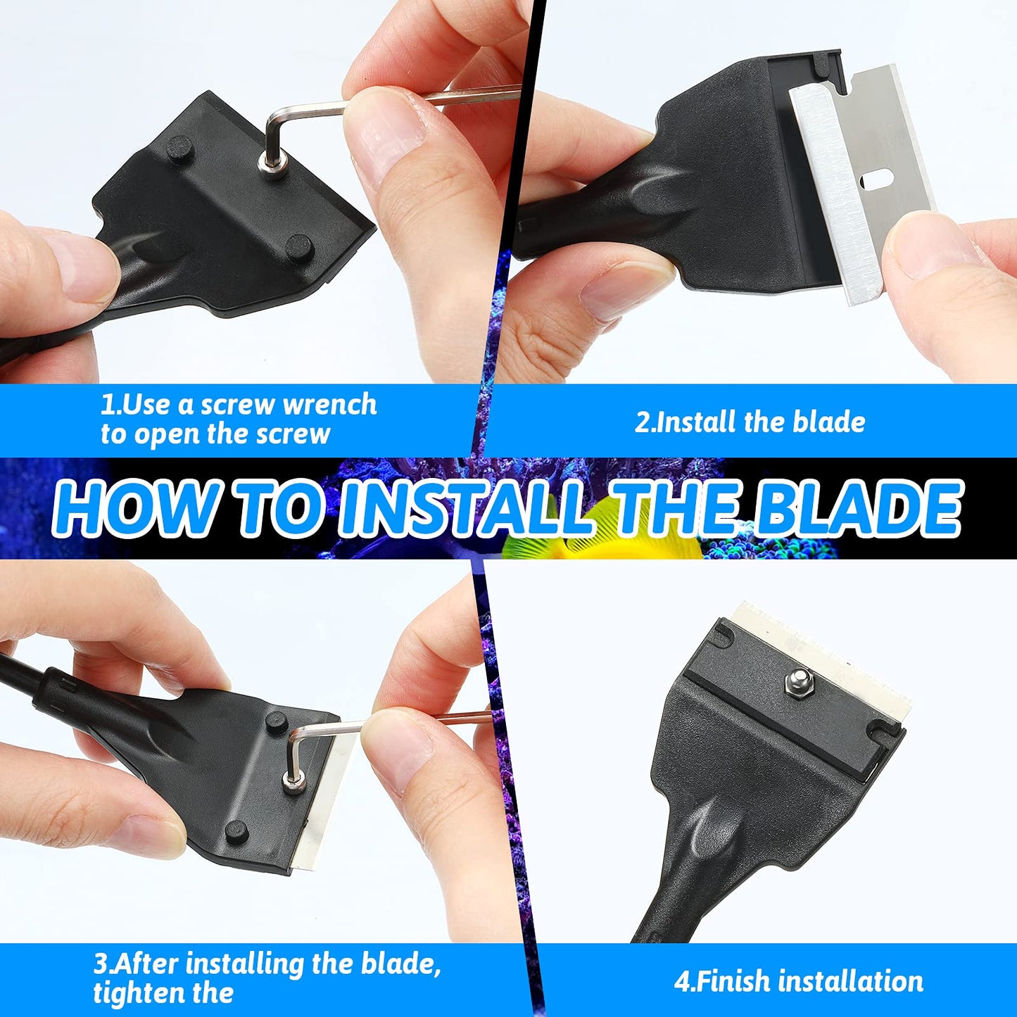 Your one-stop shop for diverse, top-quality aquarium supplies and accessories