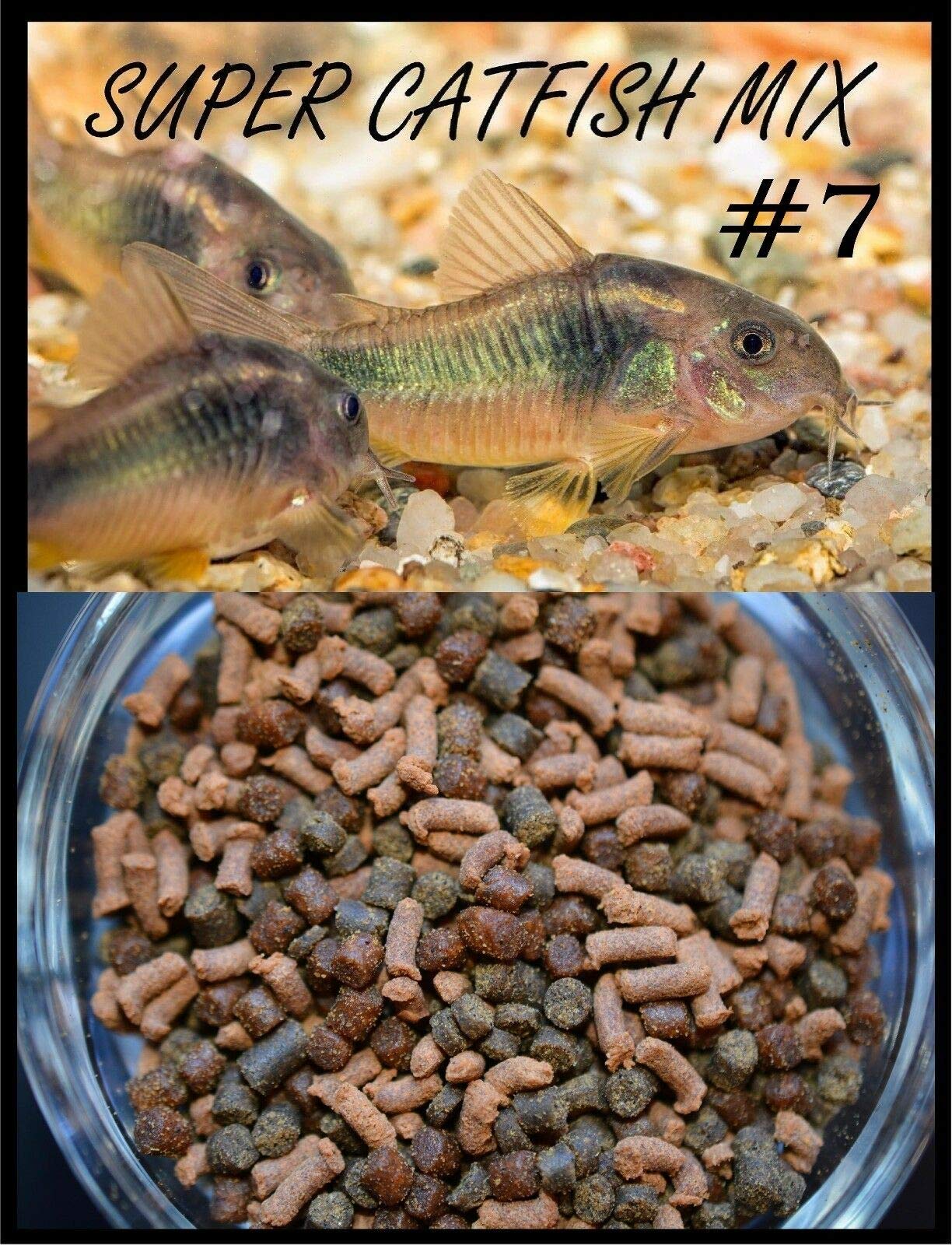 Your one-stop shop for diverse, top-quality aquarium supplies and accessories