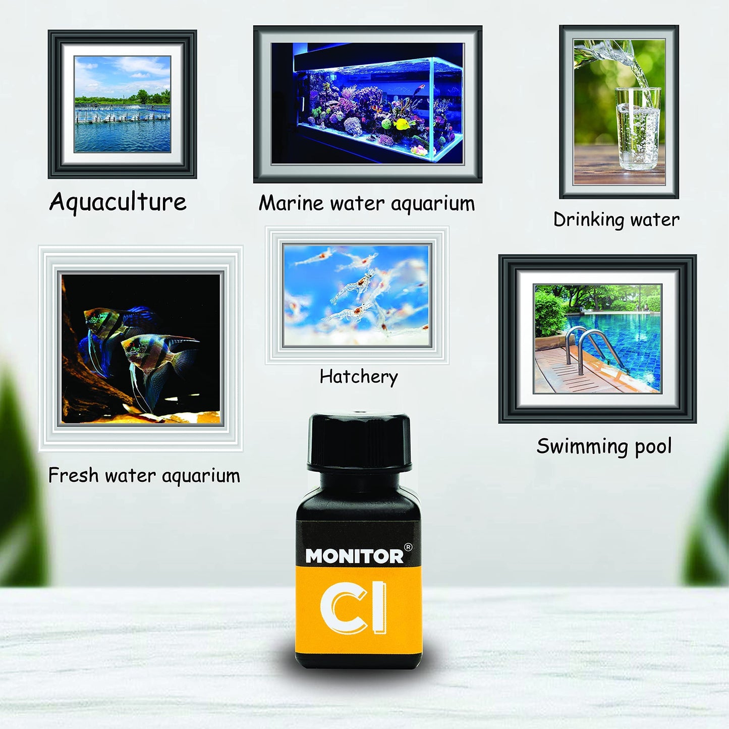 Your one-stop shop for diverse, top-quality aquarium supplies and accessories