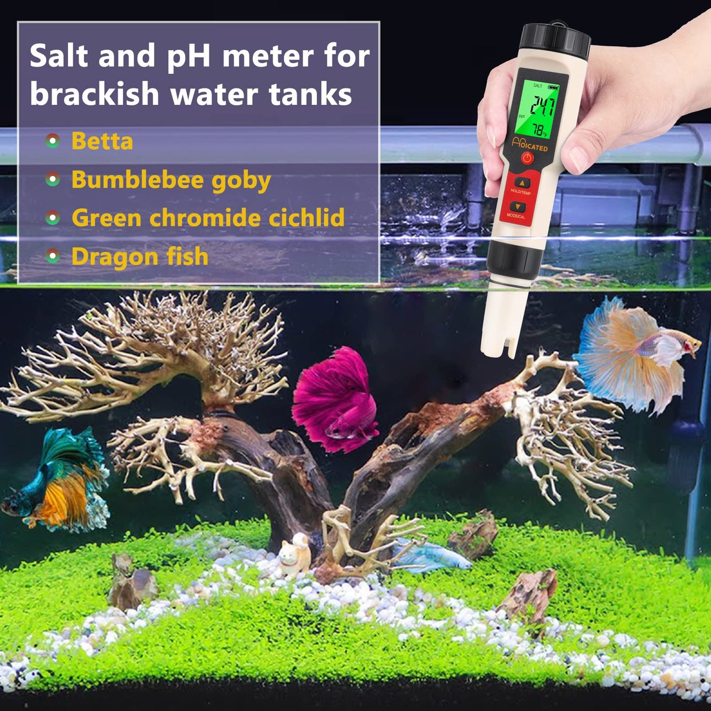 Your one-stop shop for diverse, top-quality aquarium supplies and accessories