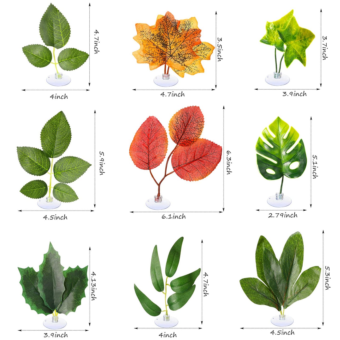 Your one-stop shop for diverse, top-quality aquarium supplies and accessories