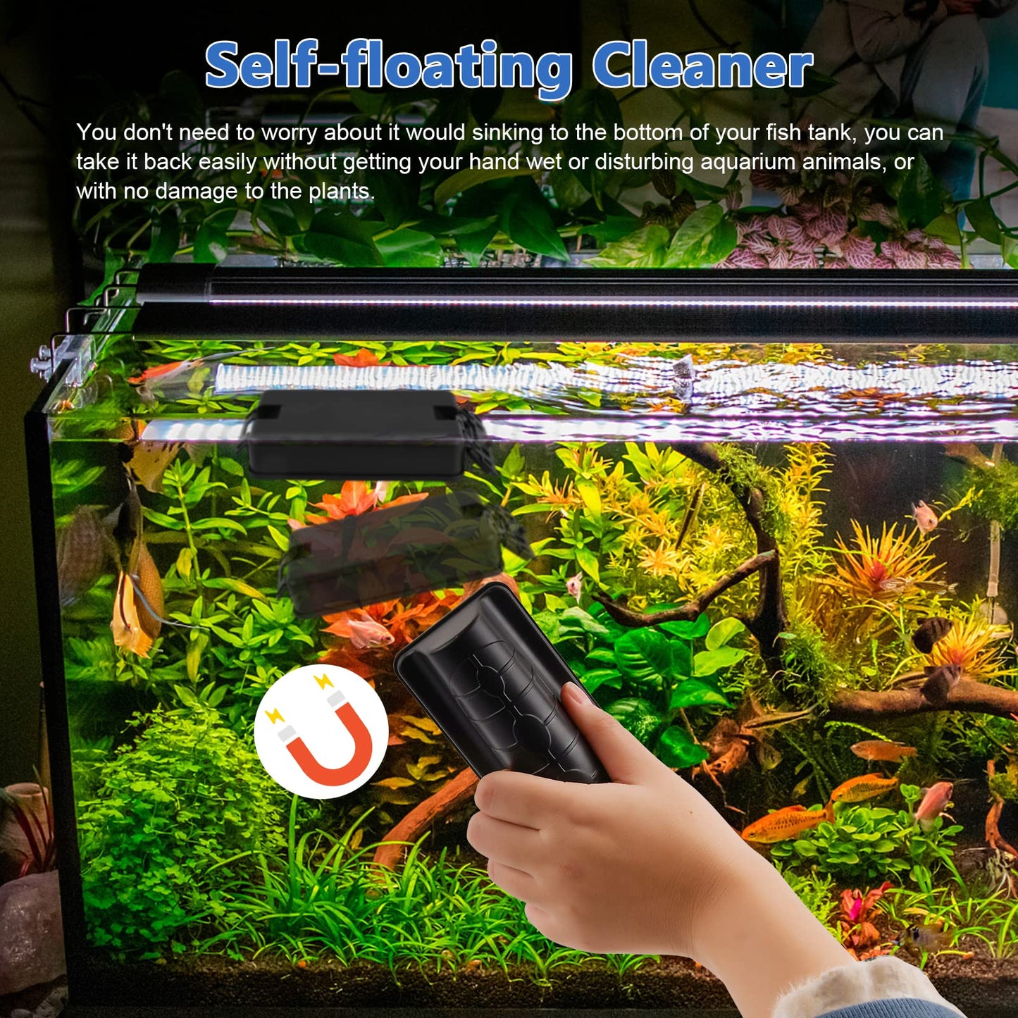 Your one-stop shop for diverse, top-quality aquarium supplies and accessories