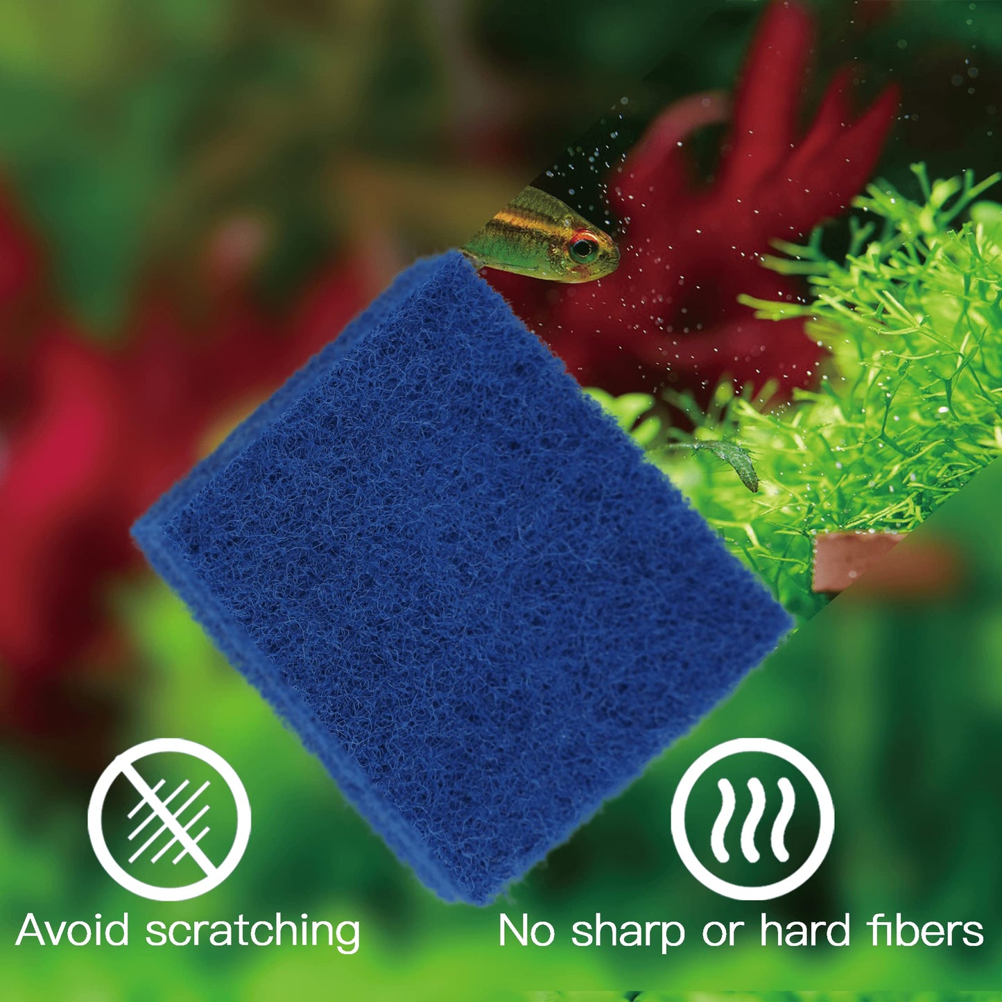 Your one-stop shop for diverse, top-quality aquarium supplies and accessories