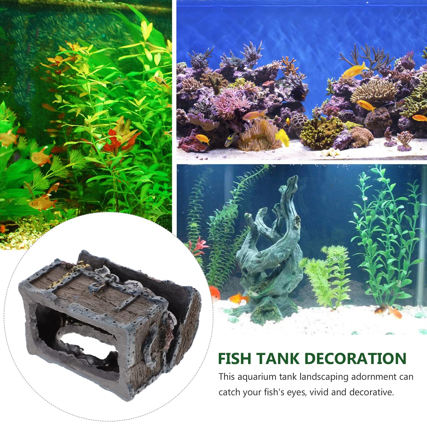 Your one-stop shop for diverse, top-quality aquarium supplies and accessories