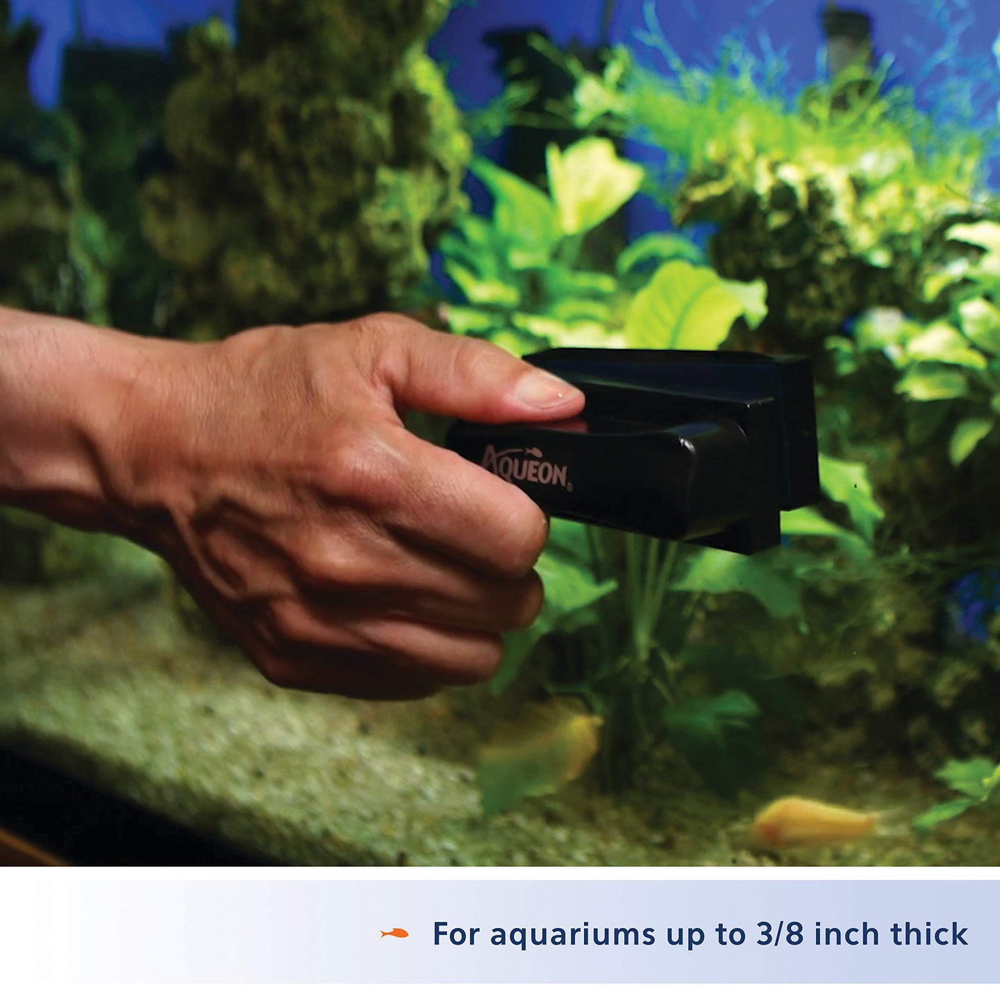 Your one-stop shop for diverse, top-quality aquarium supplies and accessories