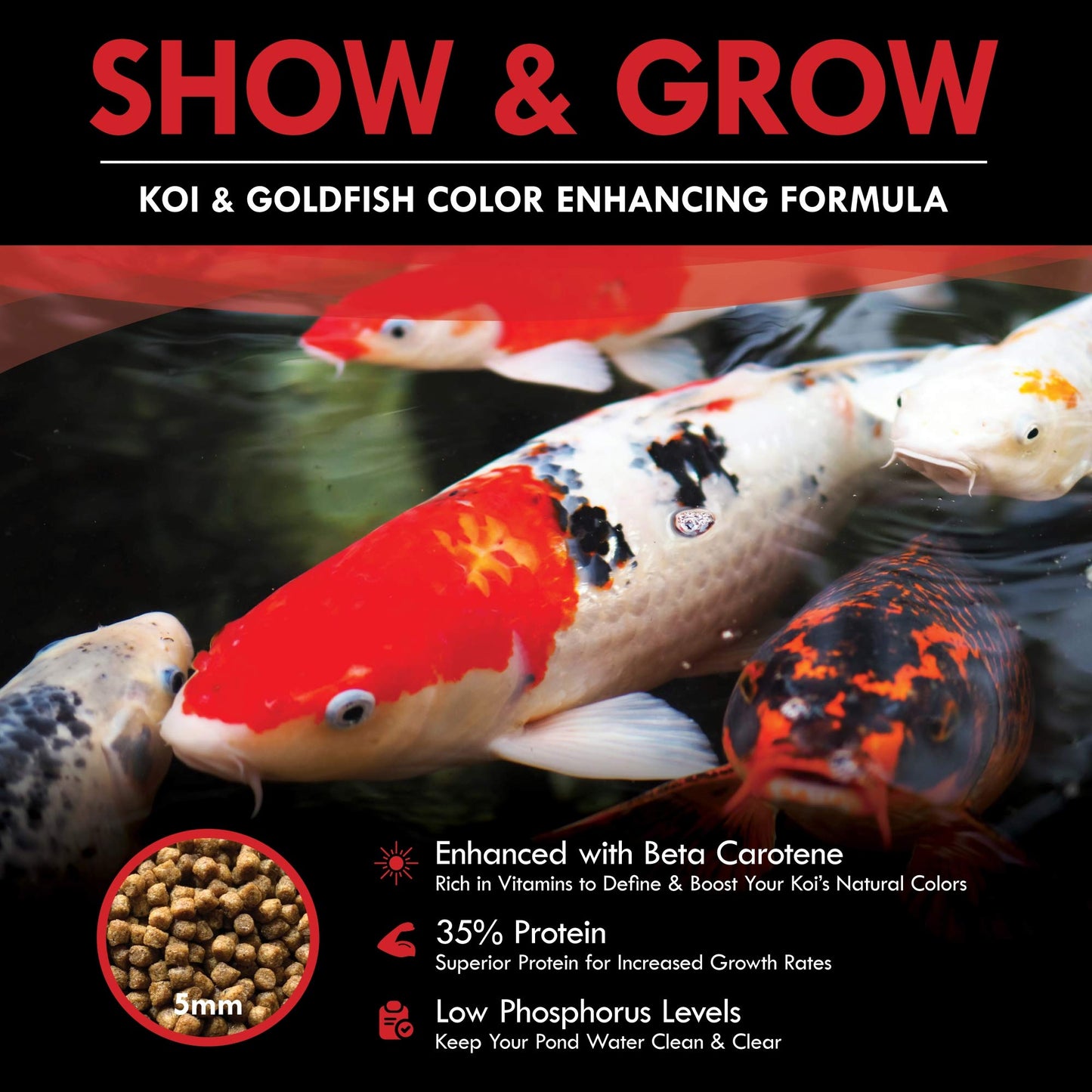 Your one-stop shop for diverse, top-quality aquarium supplies and accessories