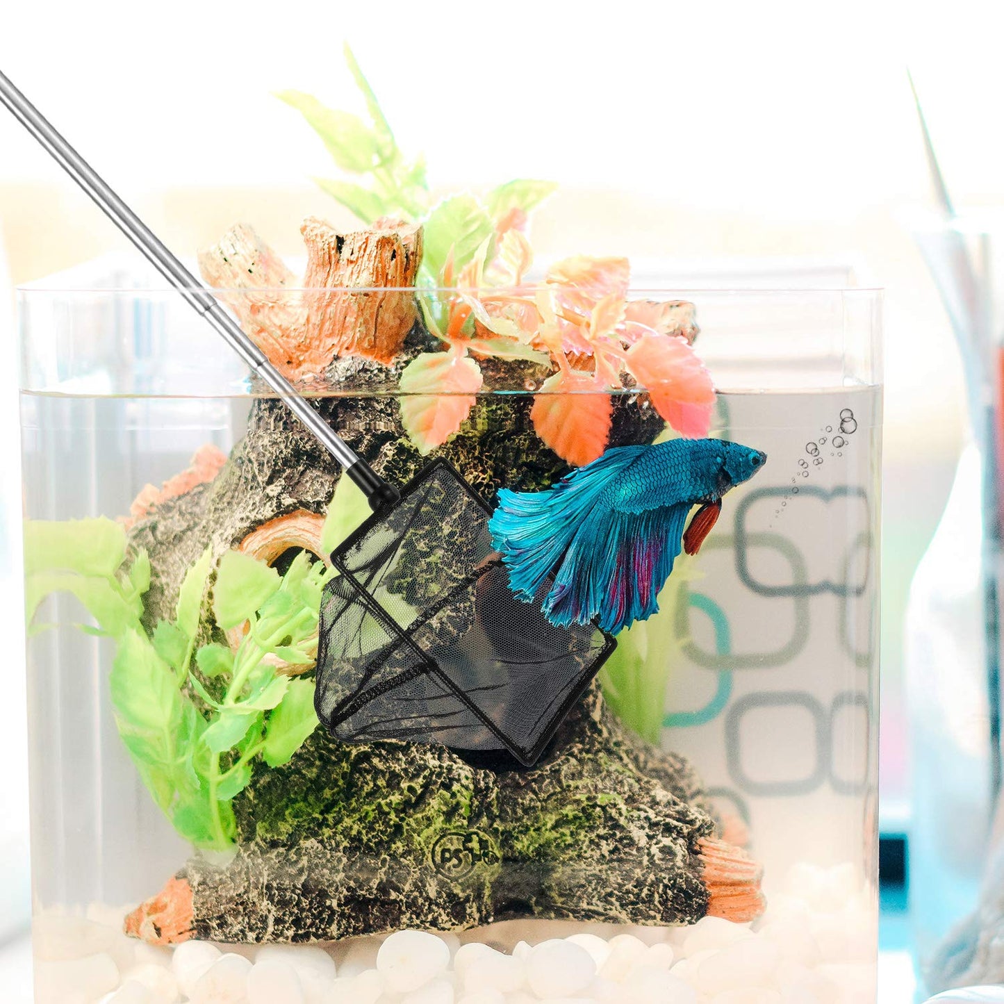 Your one-stop shop for diverse, top-quality aquarium supplies and accessories
