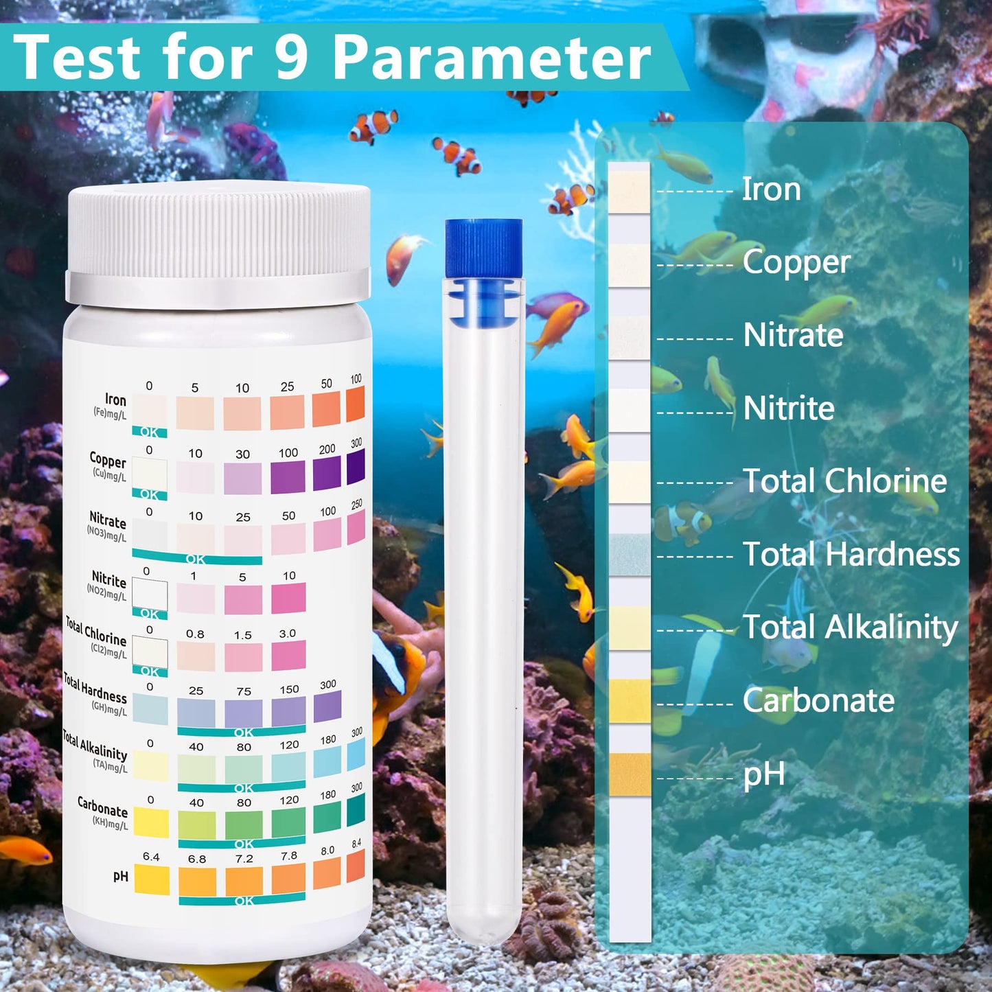 Your one-stop shop for diverse, top-quality aquarium supplies and accessories
