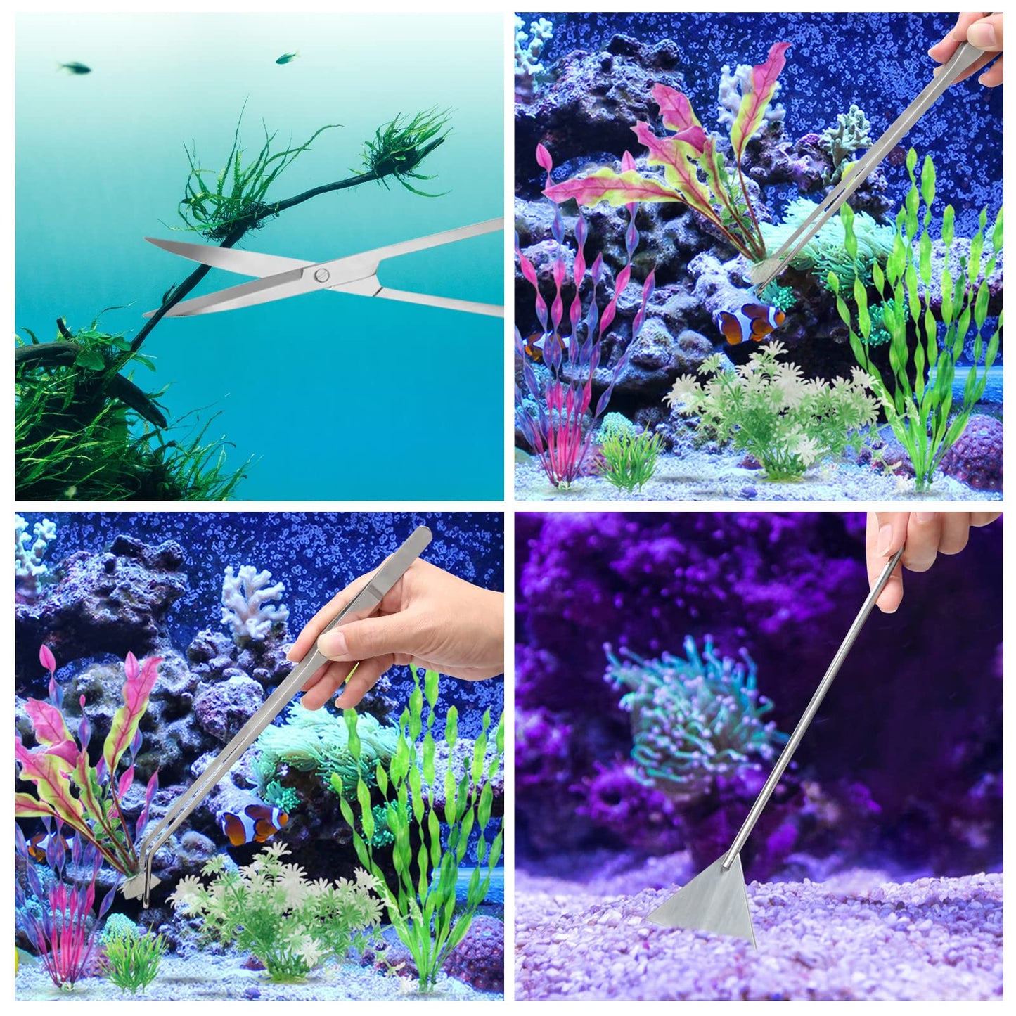 Your one-stop shop for diverse, top-quality aquarium supplies and accessories