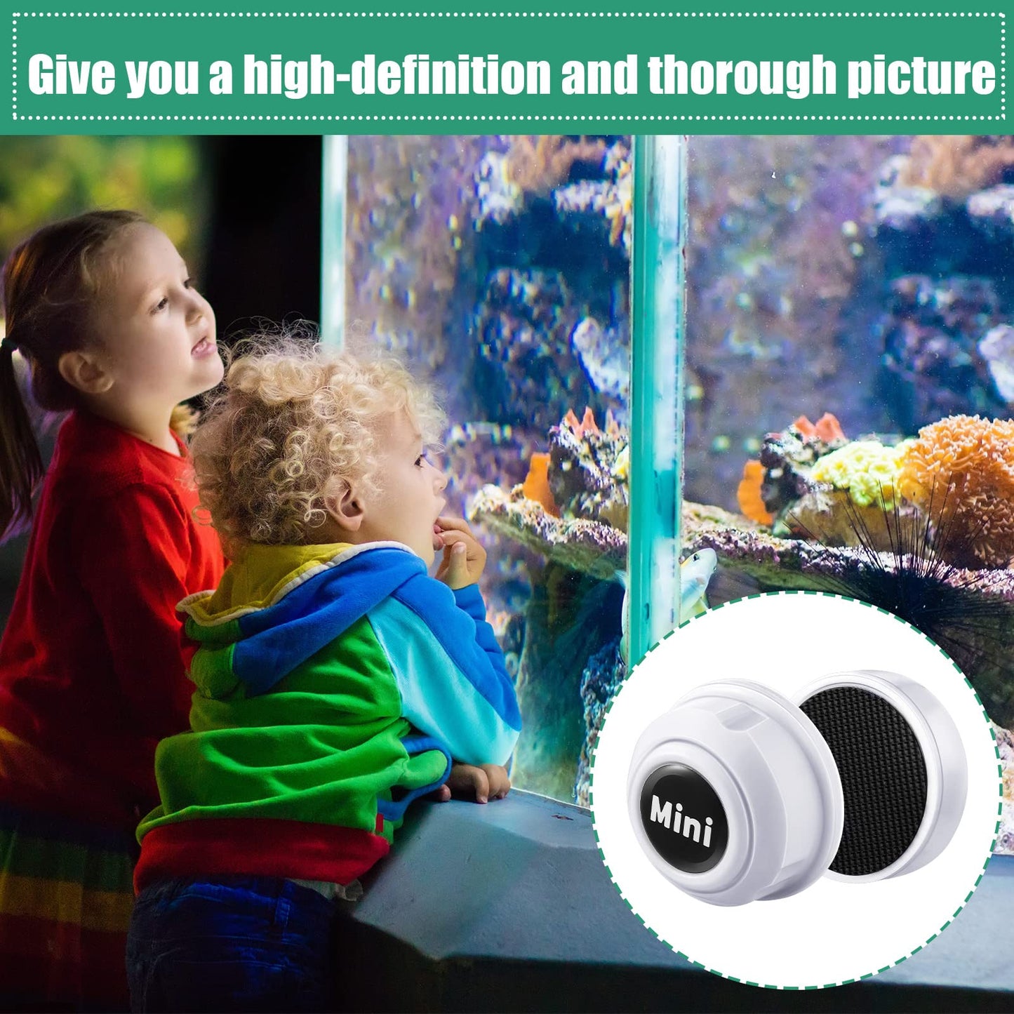 Your one-stop shop for diverse, top-quality aquarium supplies and accessories