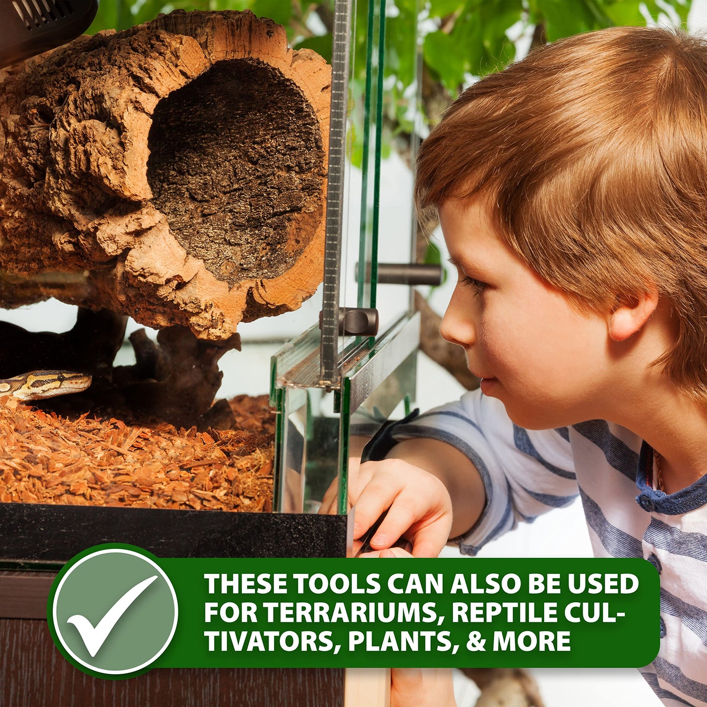 Your one-stop shop for diverse, top-quality aquarium supplies and accessories