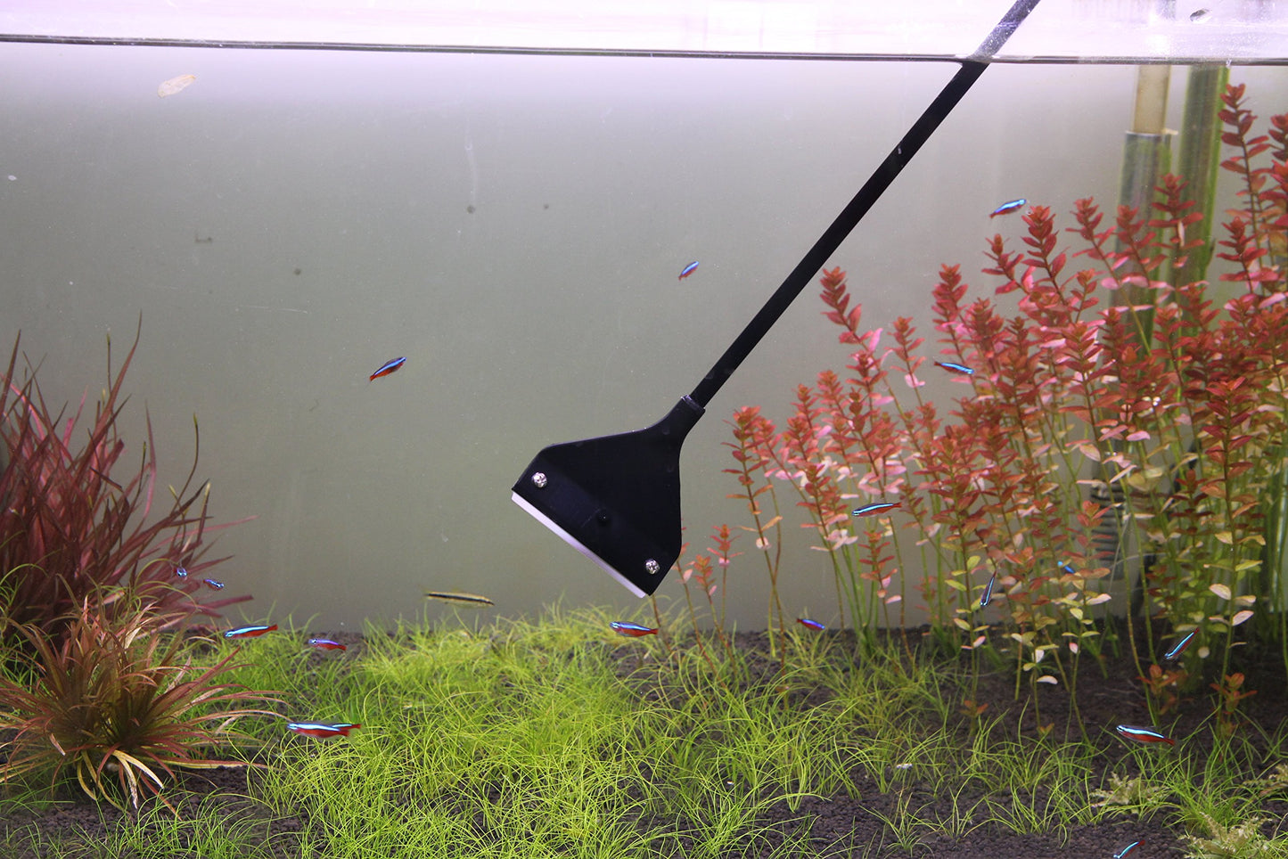 Your one-stop shop for diverse, top-quality aquarium supplies and accessories