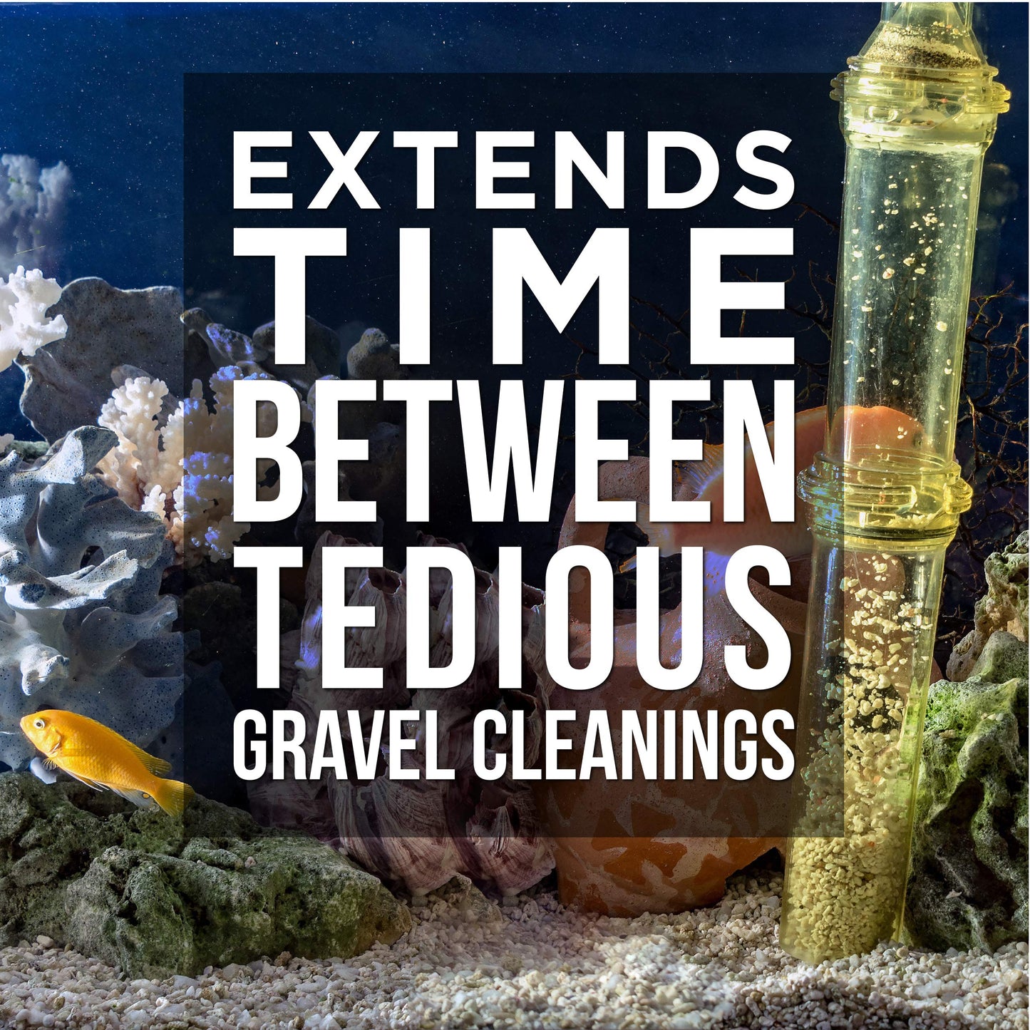 Your one-stop shop for diverse, top-quality aquarium supplies and accessories